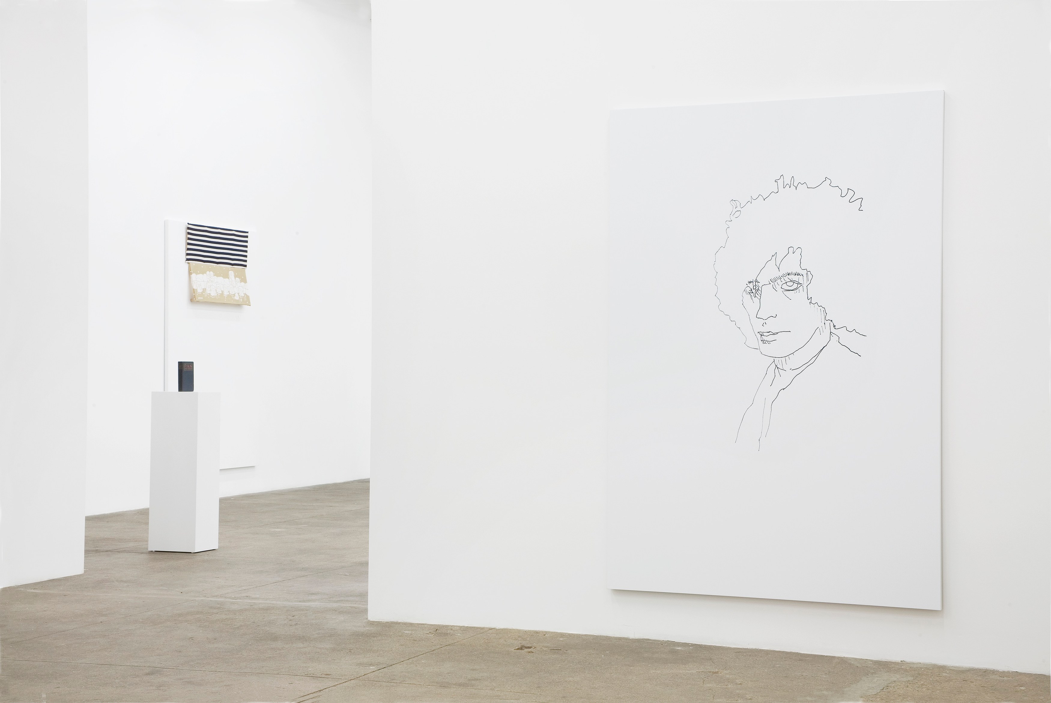 Richard Aldrich, Once I Was... at Bortolami, photo 13