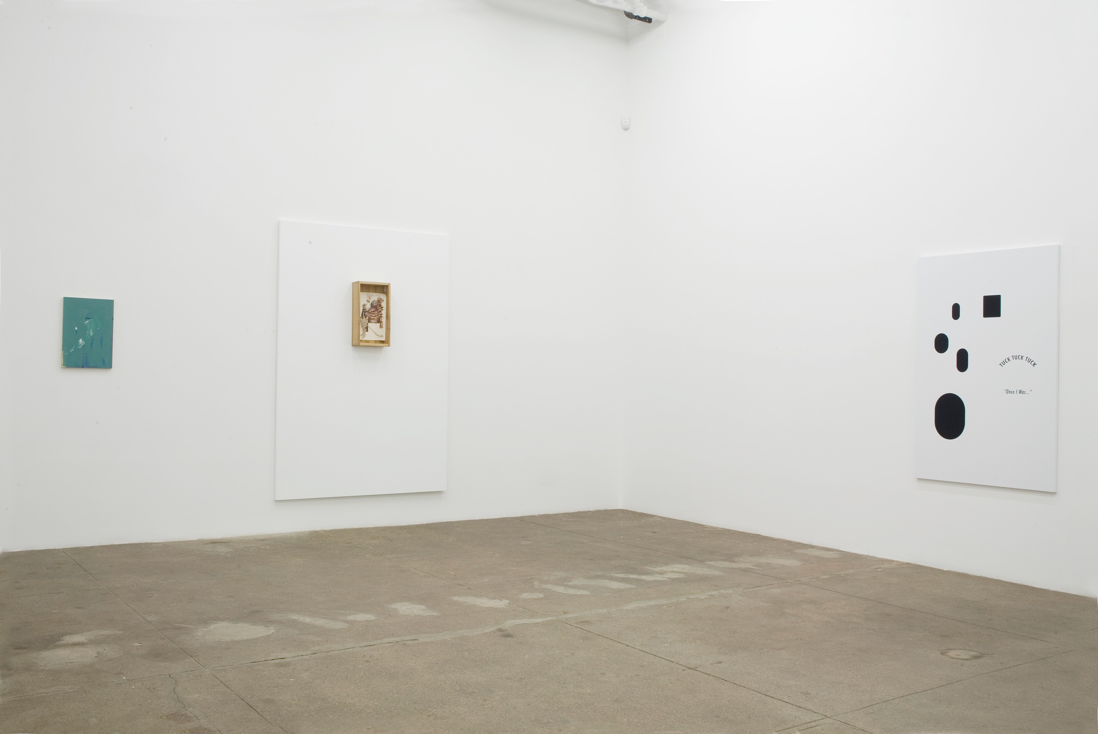 Richard Aldrich, Once I Was... at Bortolami, photo 15