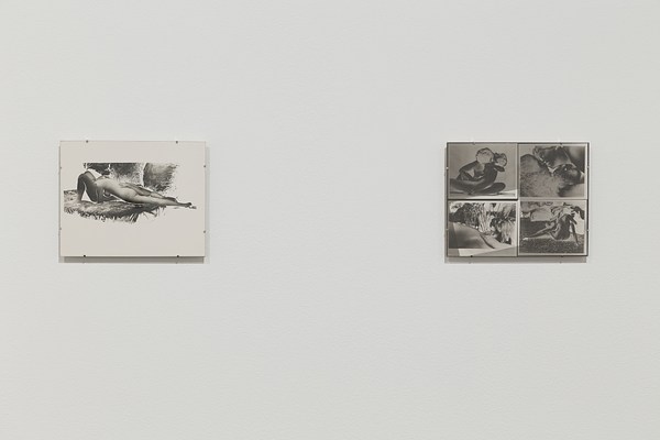 Image 5 of 20