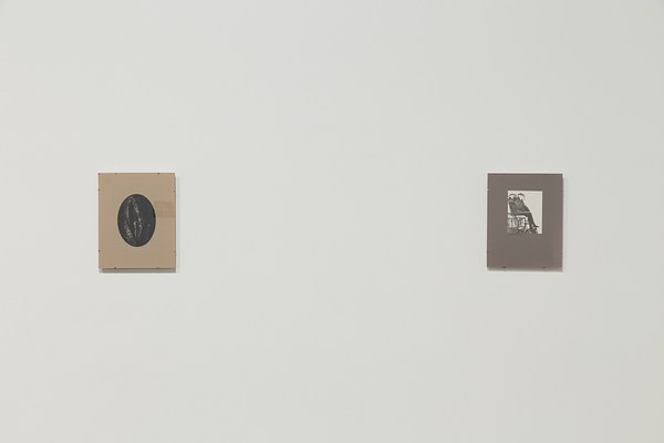 Image 12 of 20