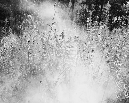Image 11 of 36