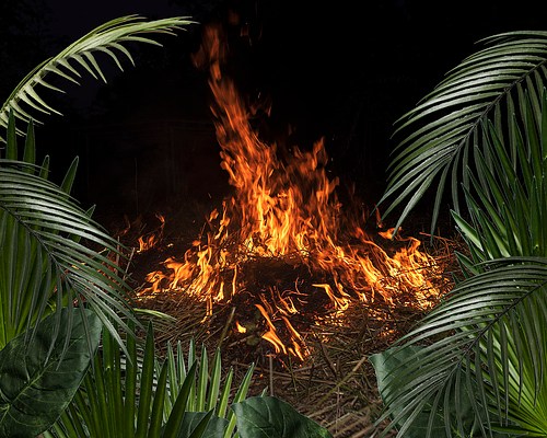 Image 16 of 36