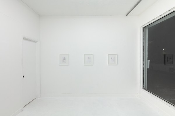 Image 7 of 34
