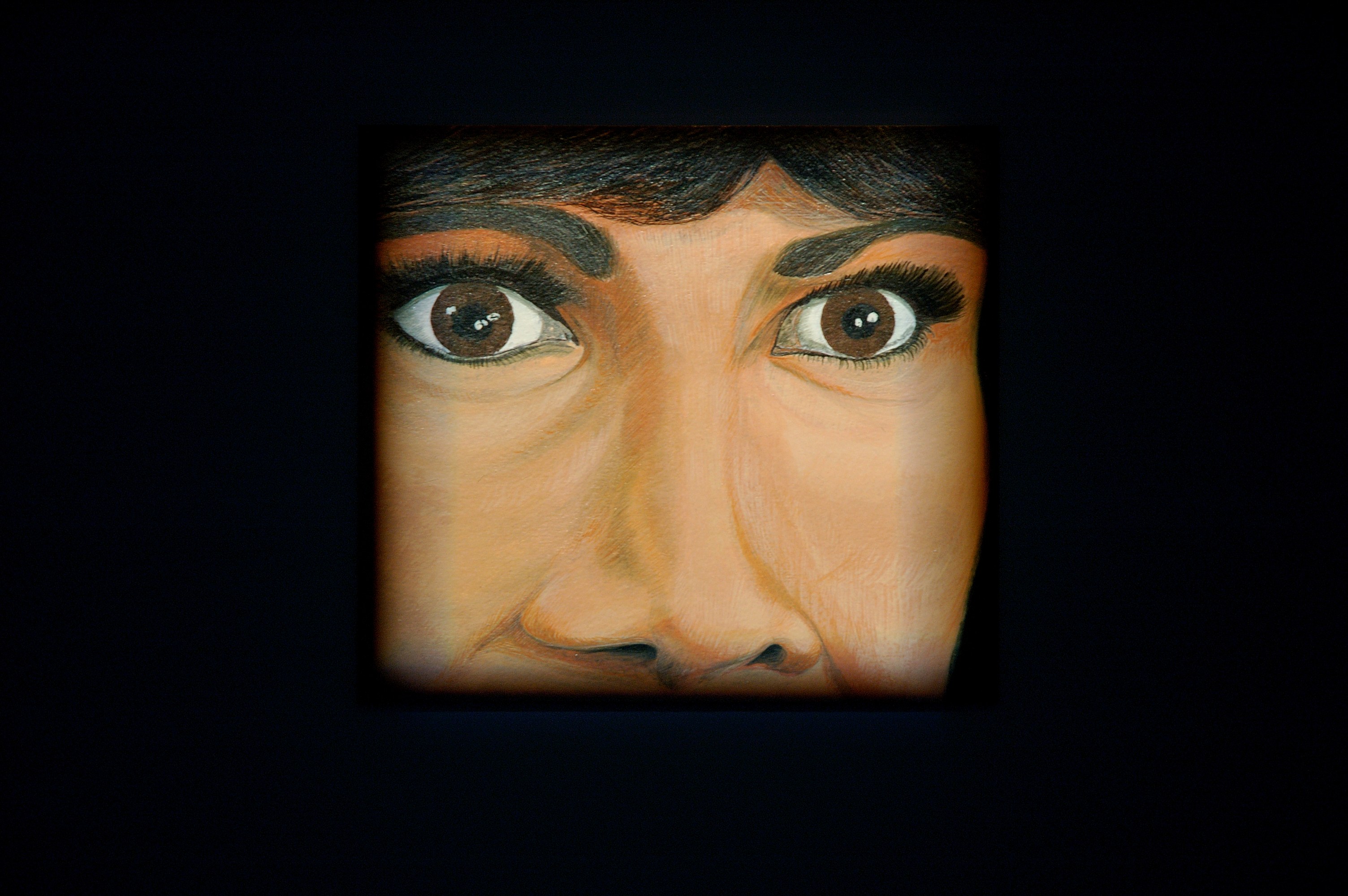 Brice Dellsperger, Body Double 21 at Air de Paris, photo 4
