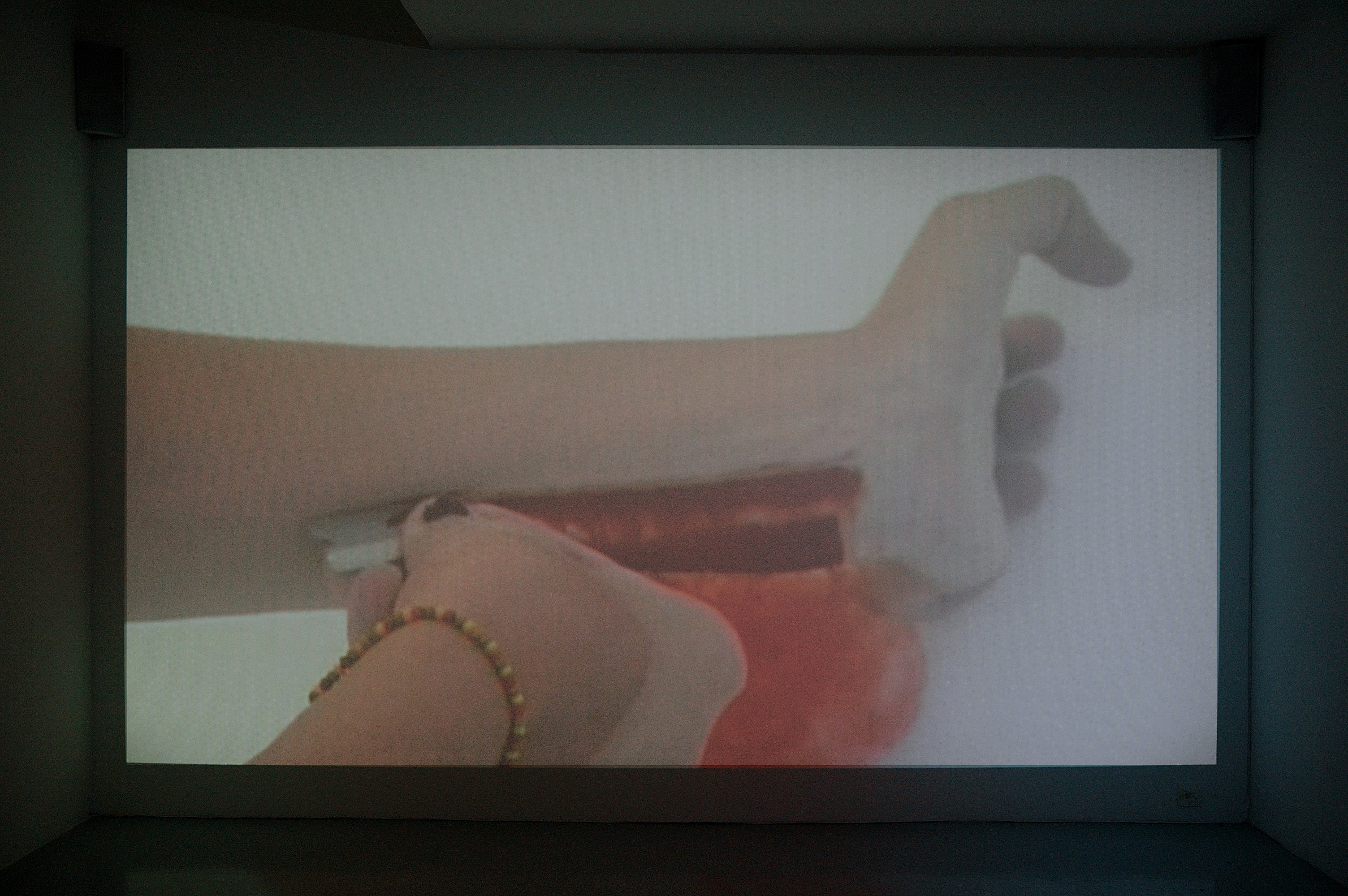 Brice Dellsperger, Body Double 21 at Air de Paris, photo 2