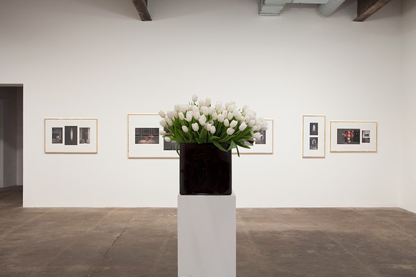 Image 18 of 27