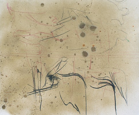 Image 9 of 15