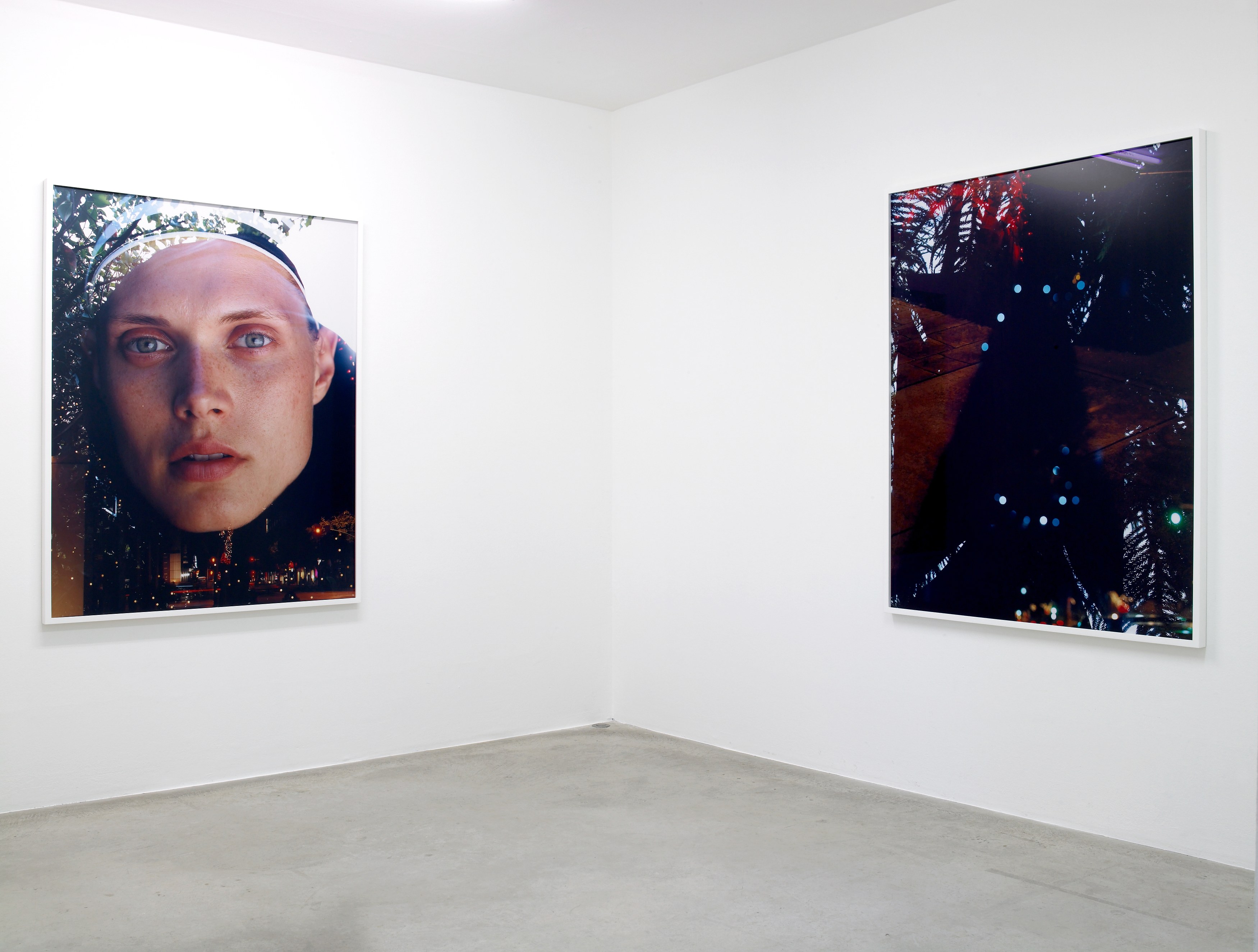 Torbjørn Rødland, Go to the VIP Room at Air de Paris, photo 3