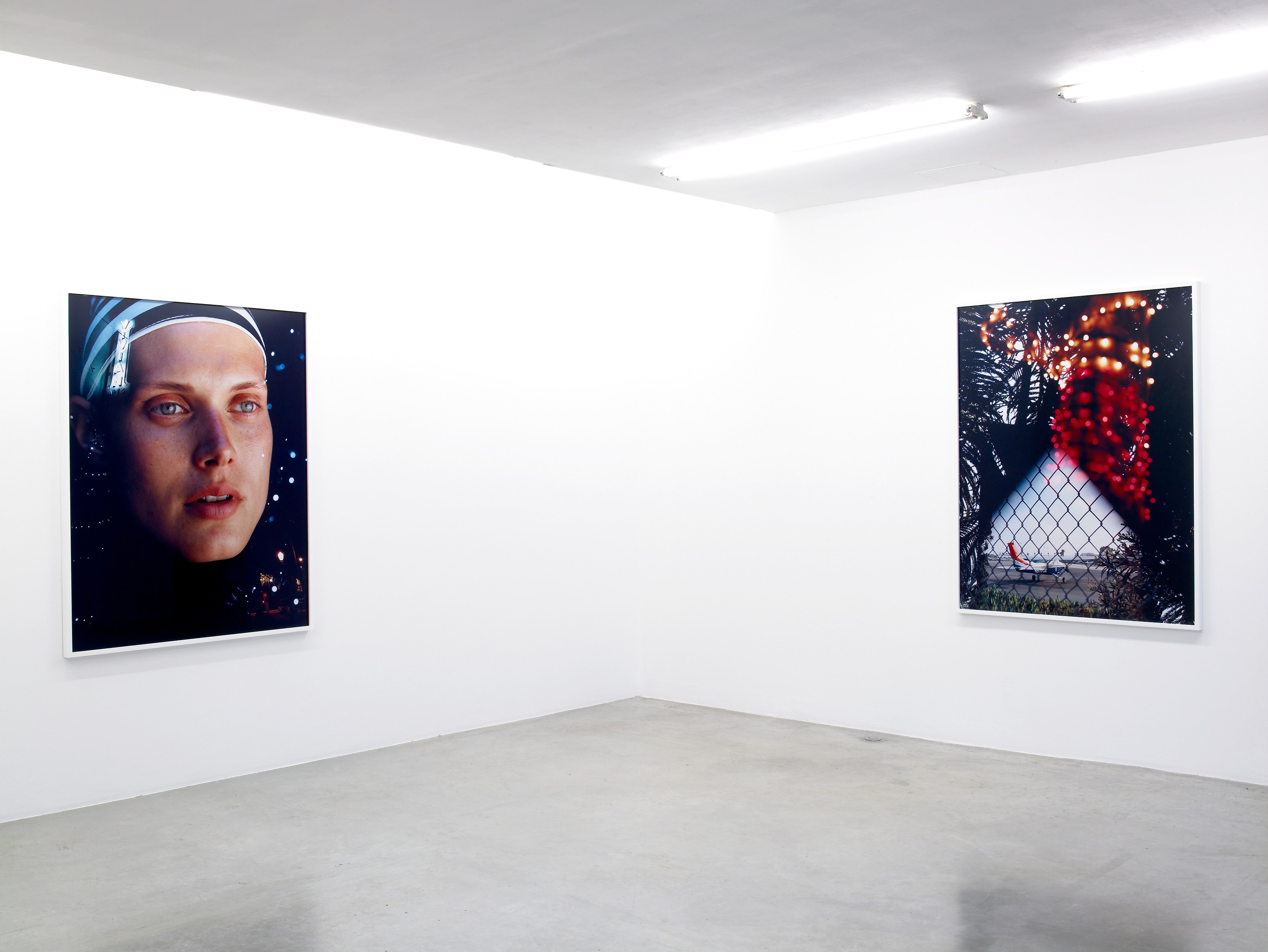 Torbjørn Rødland, Go to the VIP Room at Air de Paris, photo 2