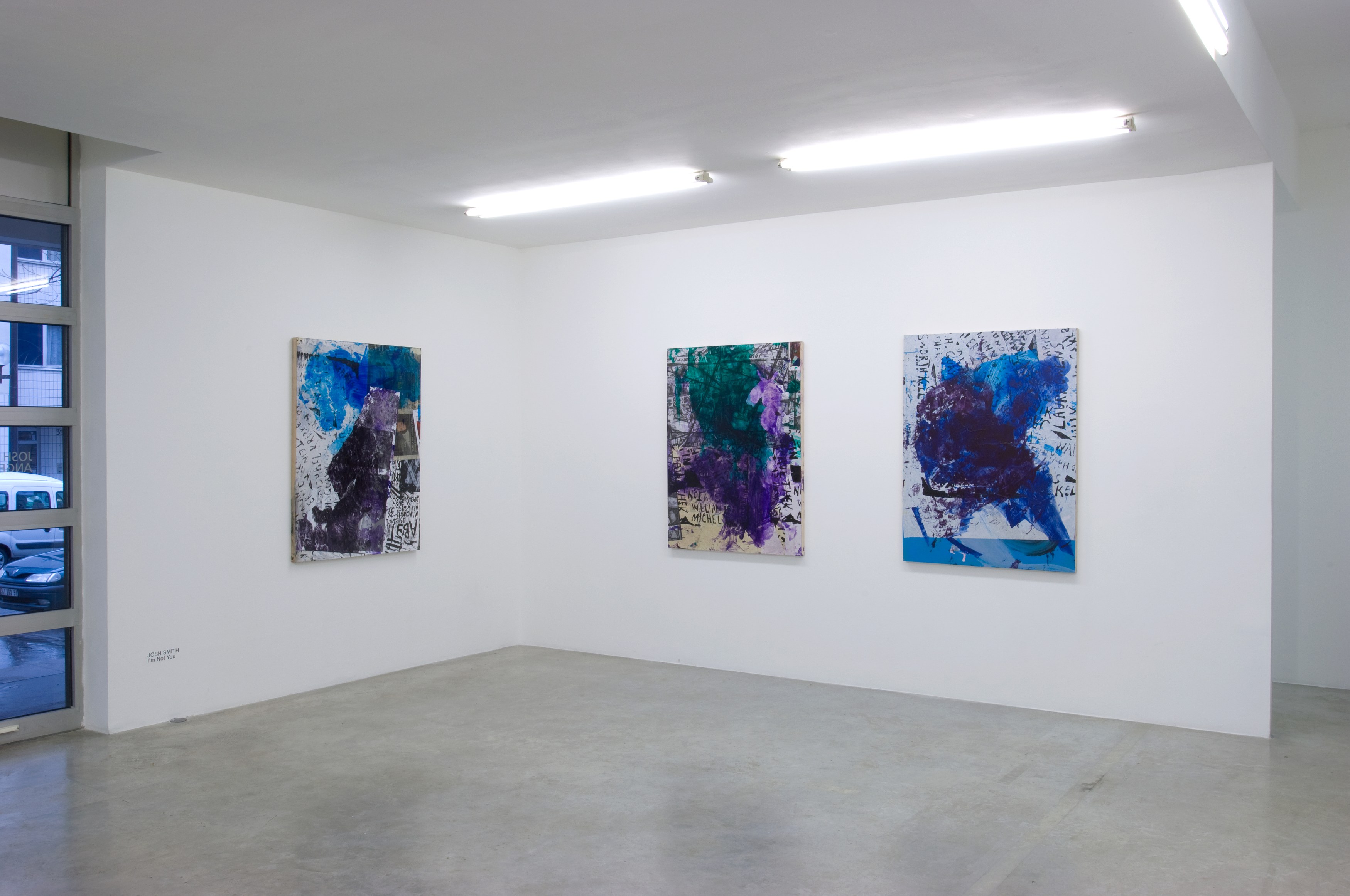 Josh Smith, I'm Not You at Air de Paris, photo 4