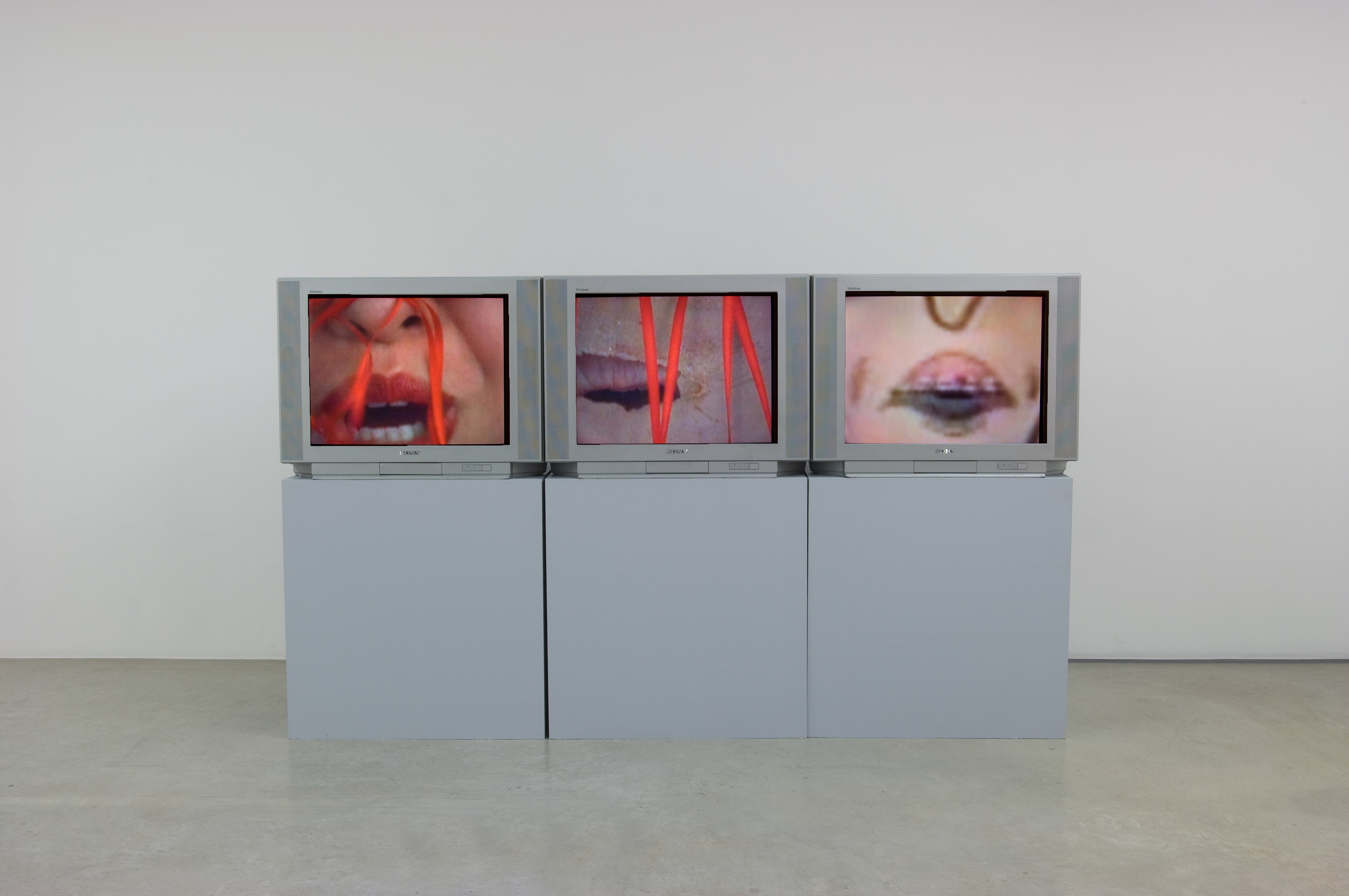 Sturtevant, Blow Job at Air de Paris, photo 5