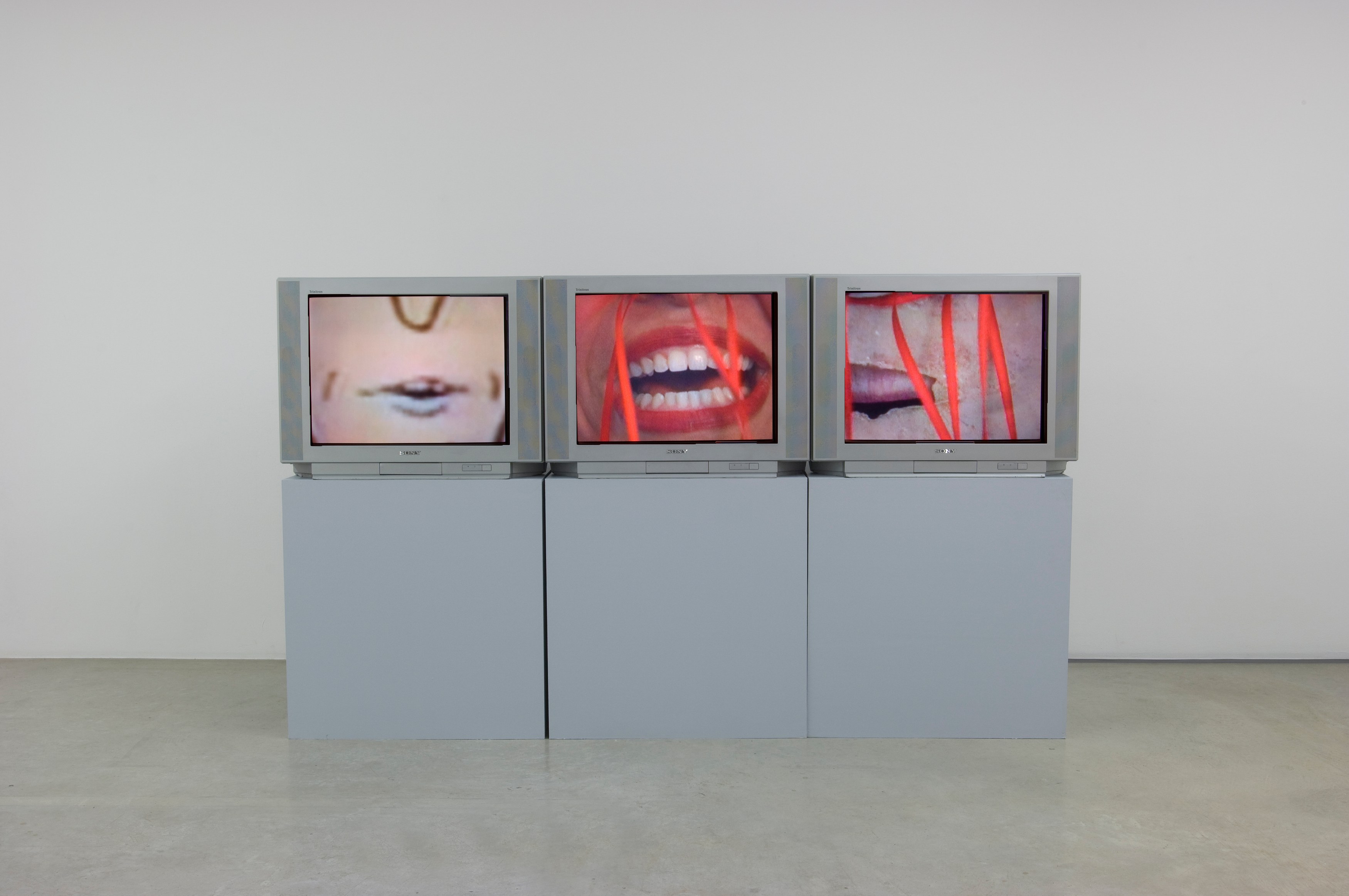 Sturtevant, Blow Job at Air de Paris, photo 3