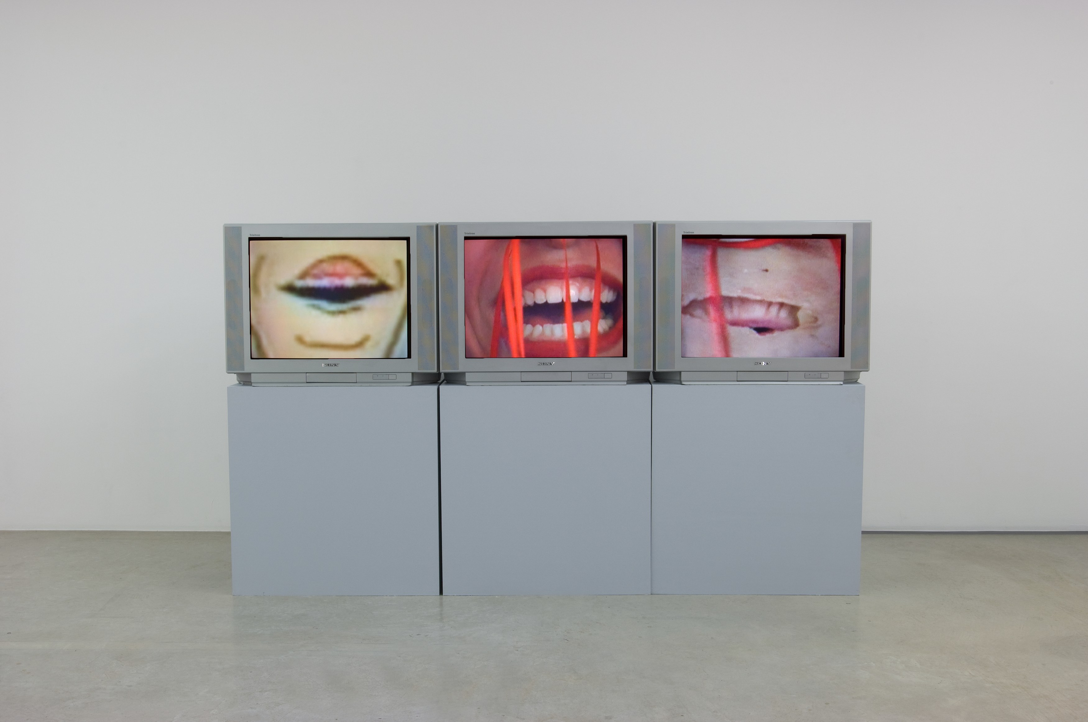 Sturtevant, Blow Job at Air de Paris, photo 4