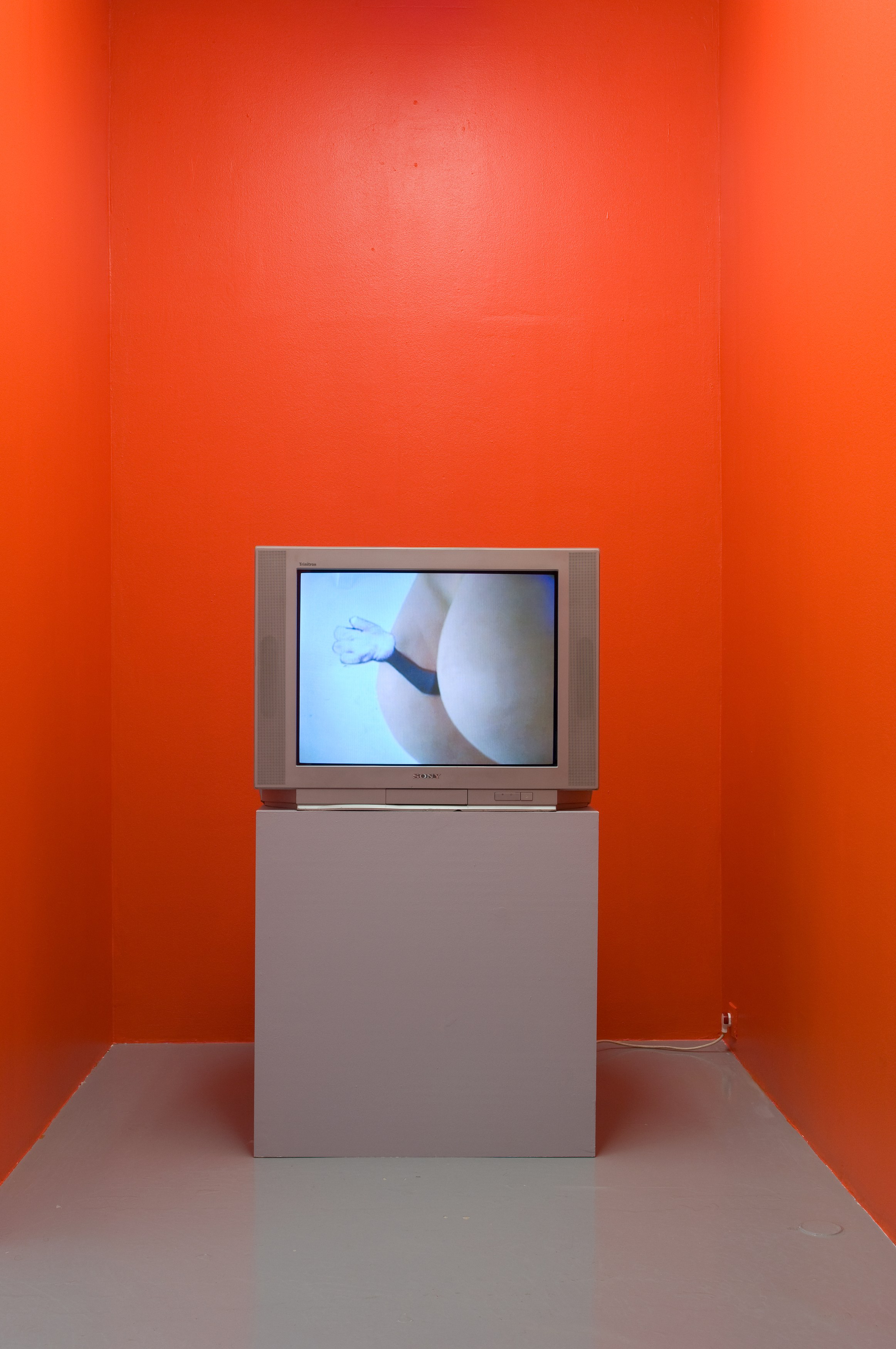 Sturtevant, Blow Job at Air de Paris, photo 8