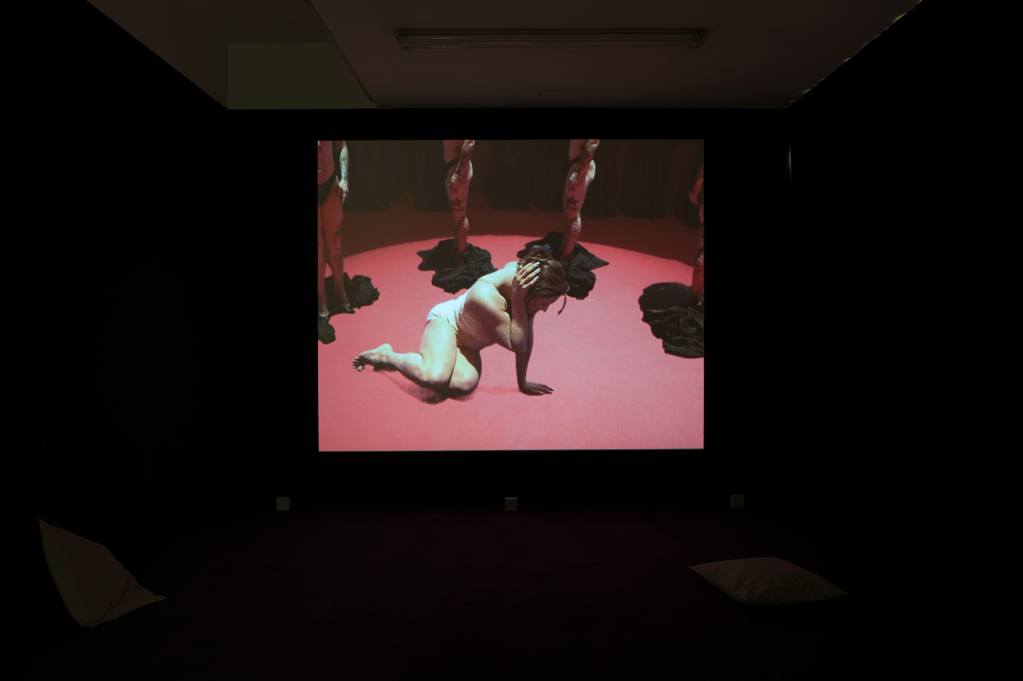 Brice Dellsperger, More Body Doubles at Air de Paris, photo 4