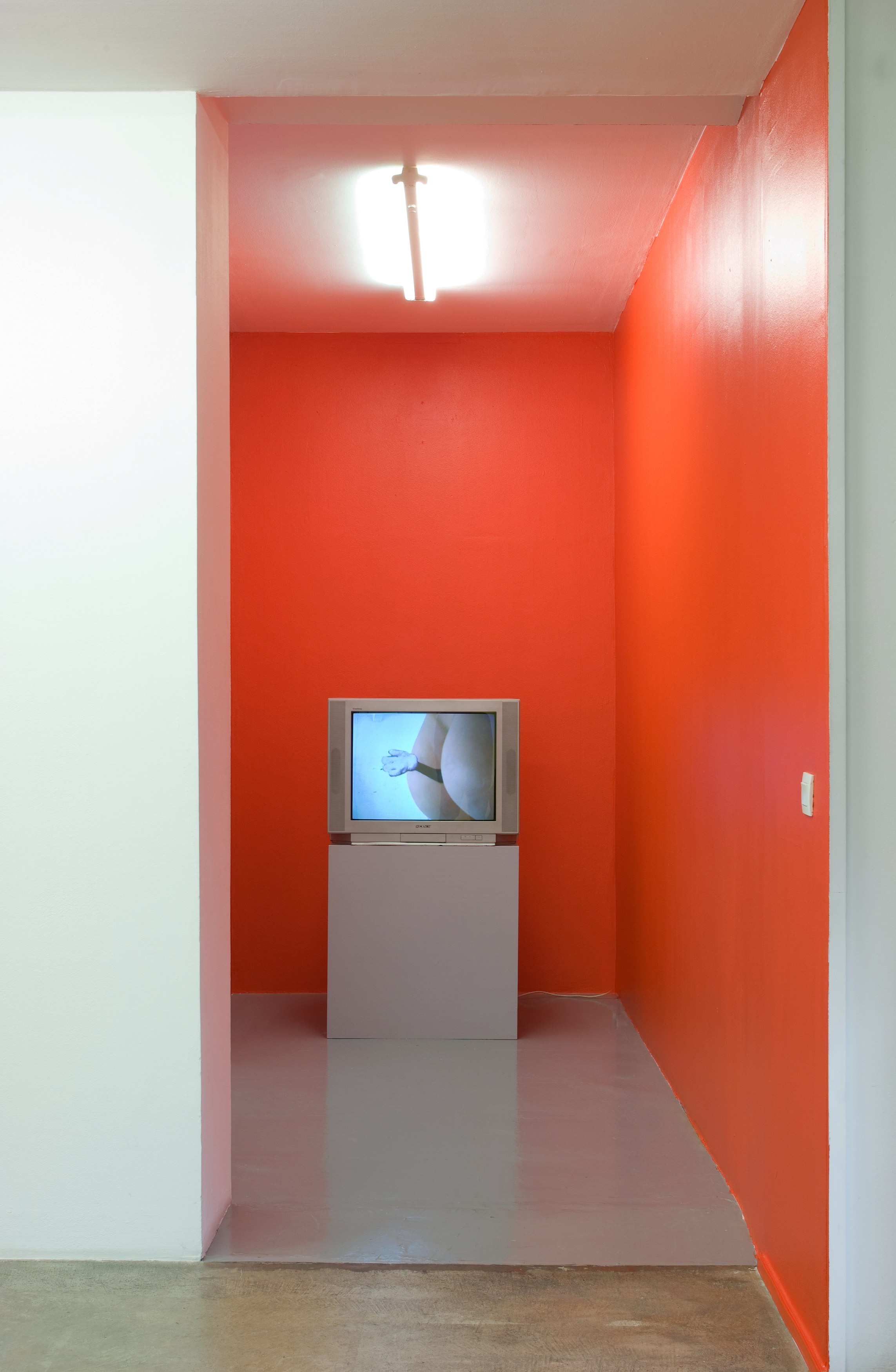 Sturtevant, Blow Job at Air de Paris, photo 6