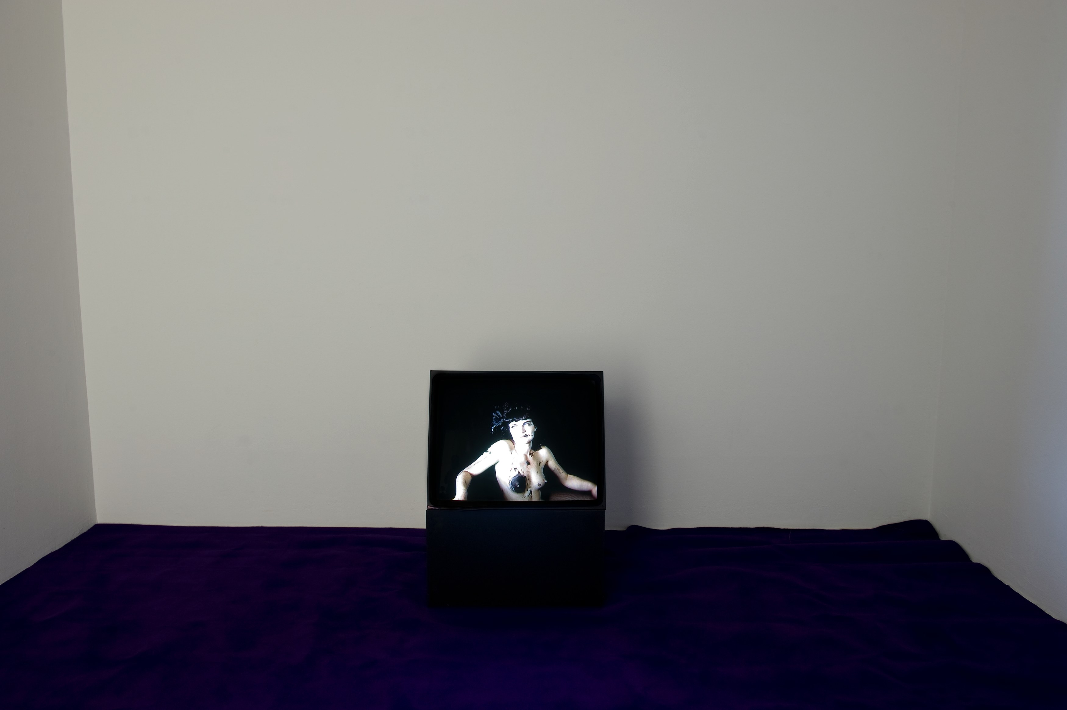 Brice Dellsperger, More Body Doubles at Air de Paris, photo 3