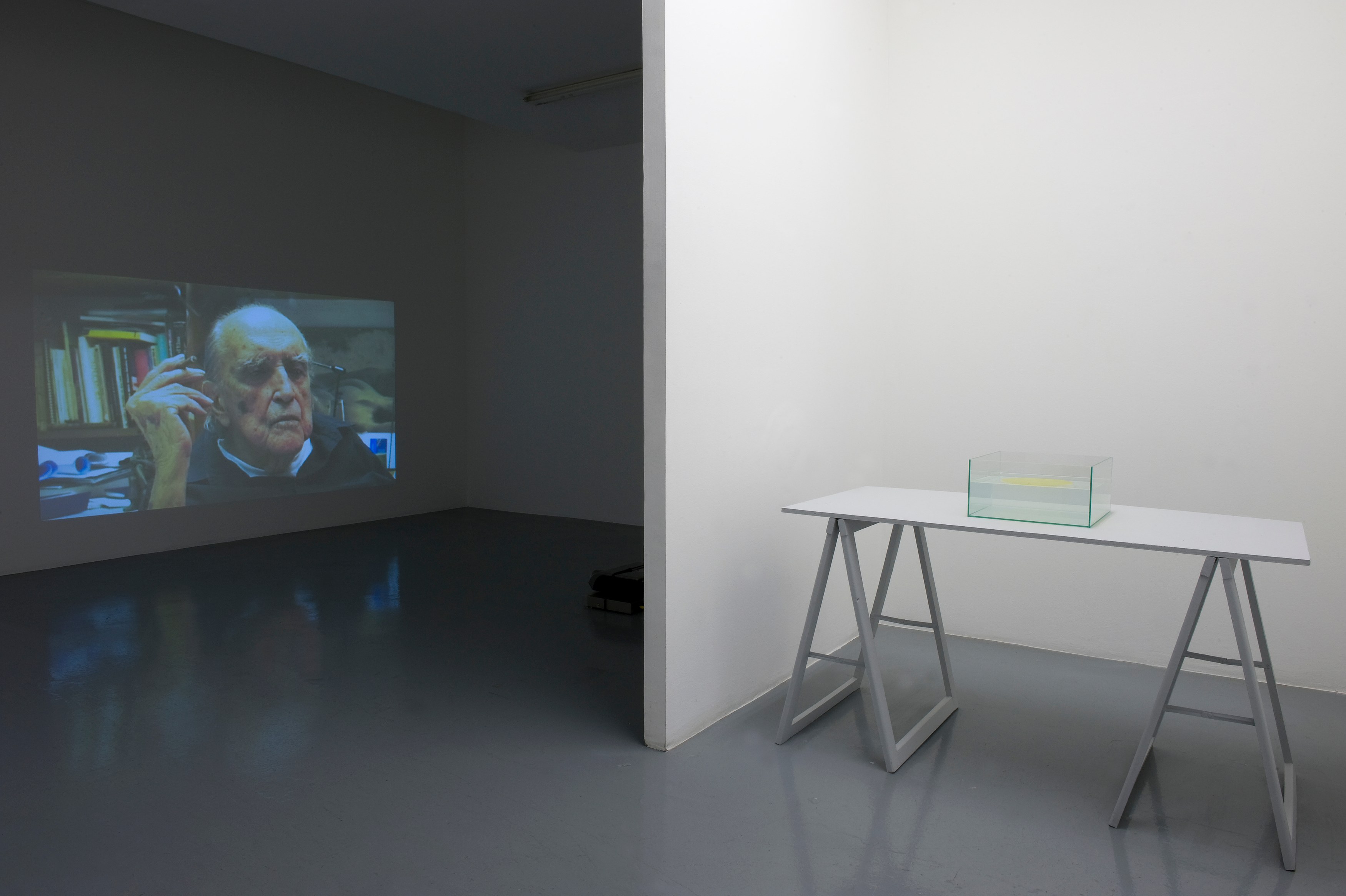 Ann Veronica Janssens, May at Air de Paris, photo 4