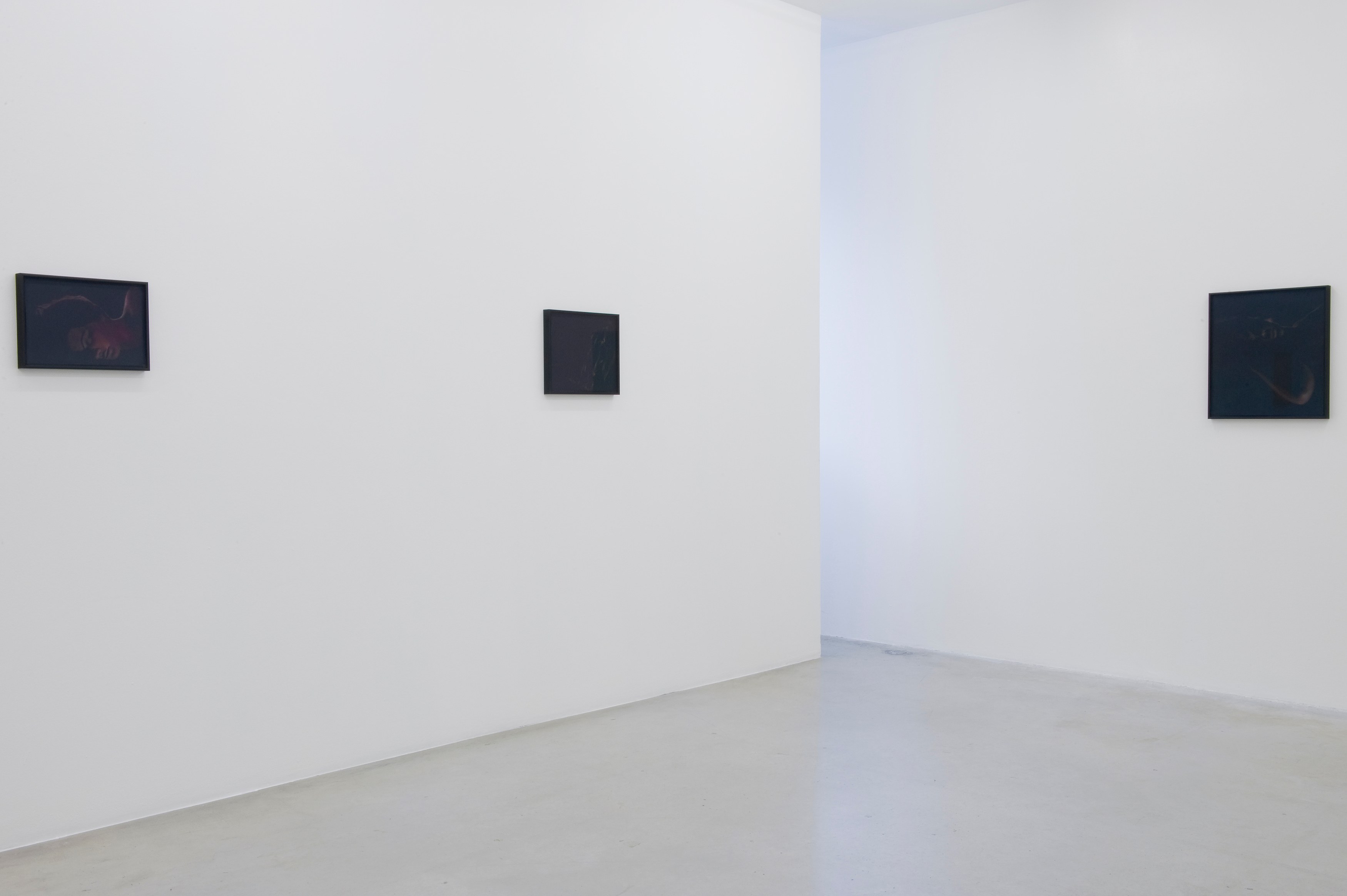 Monica Majoli, Black Mirror /1 at Air de Paris, photo 4