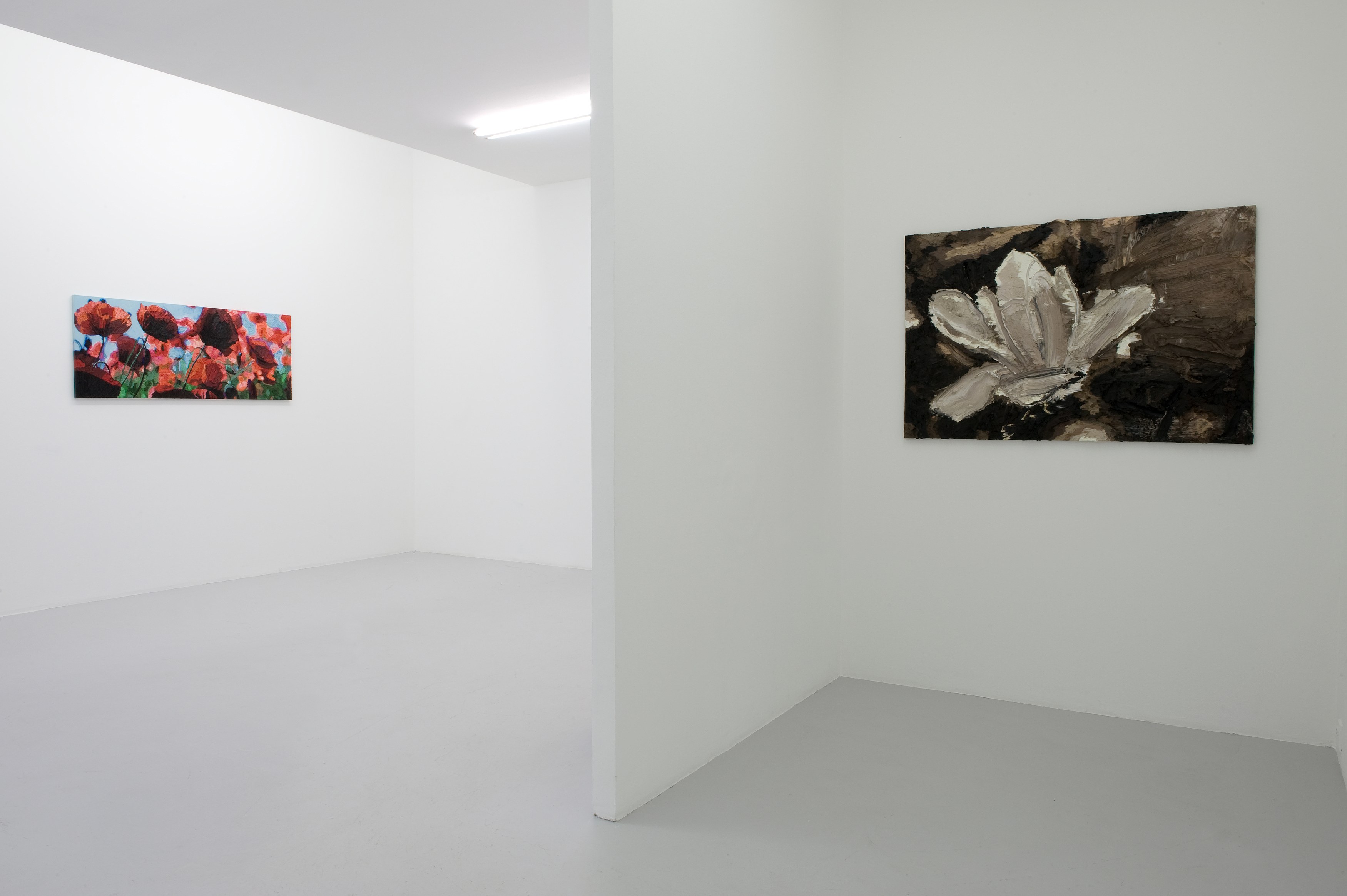 Rob Pruitt, Untitled at Air de Paris, photo 3