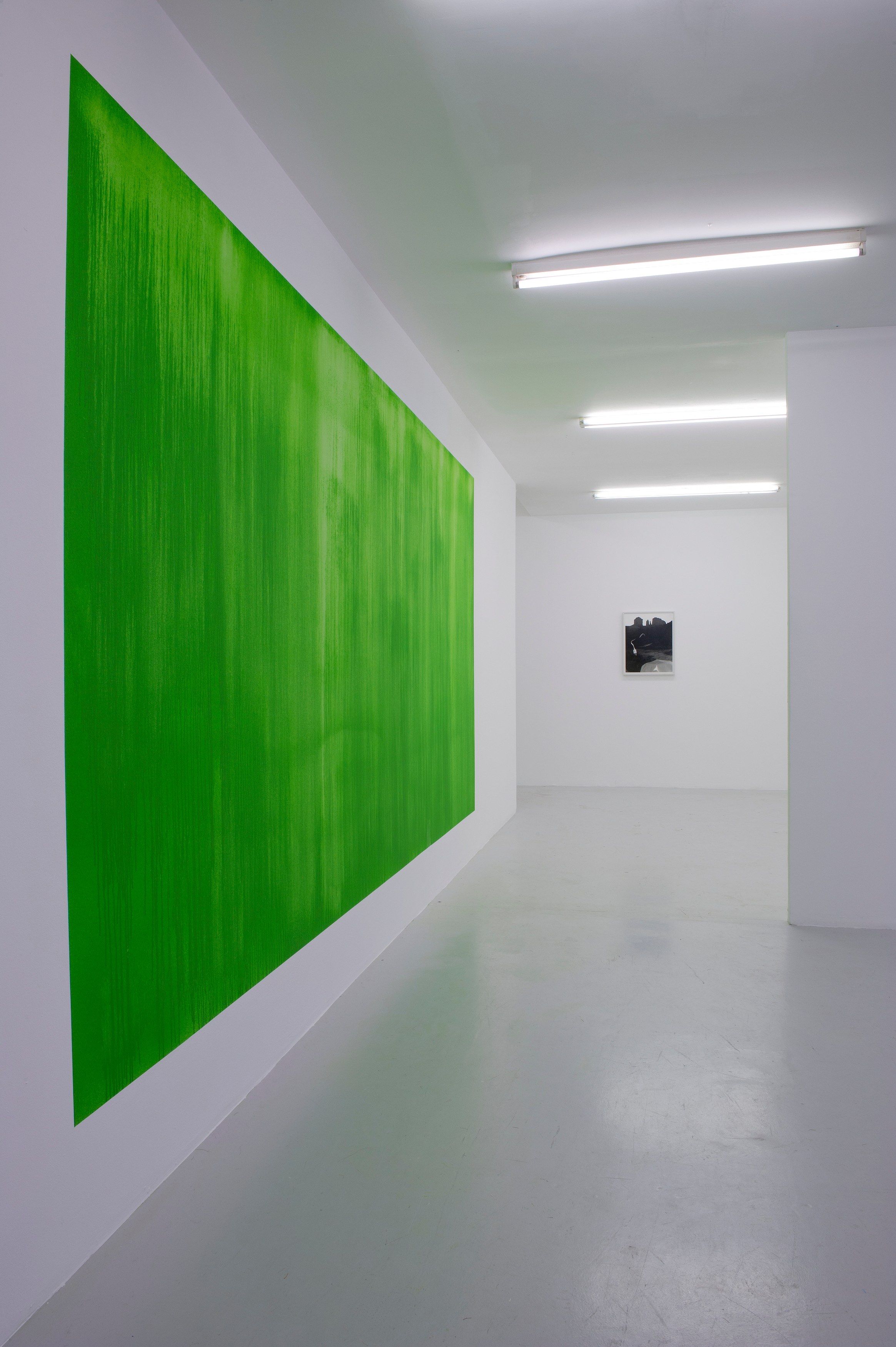 Adriana Lara, Scryyns and Interesting Theories at Air de Paris, photo 5