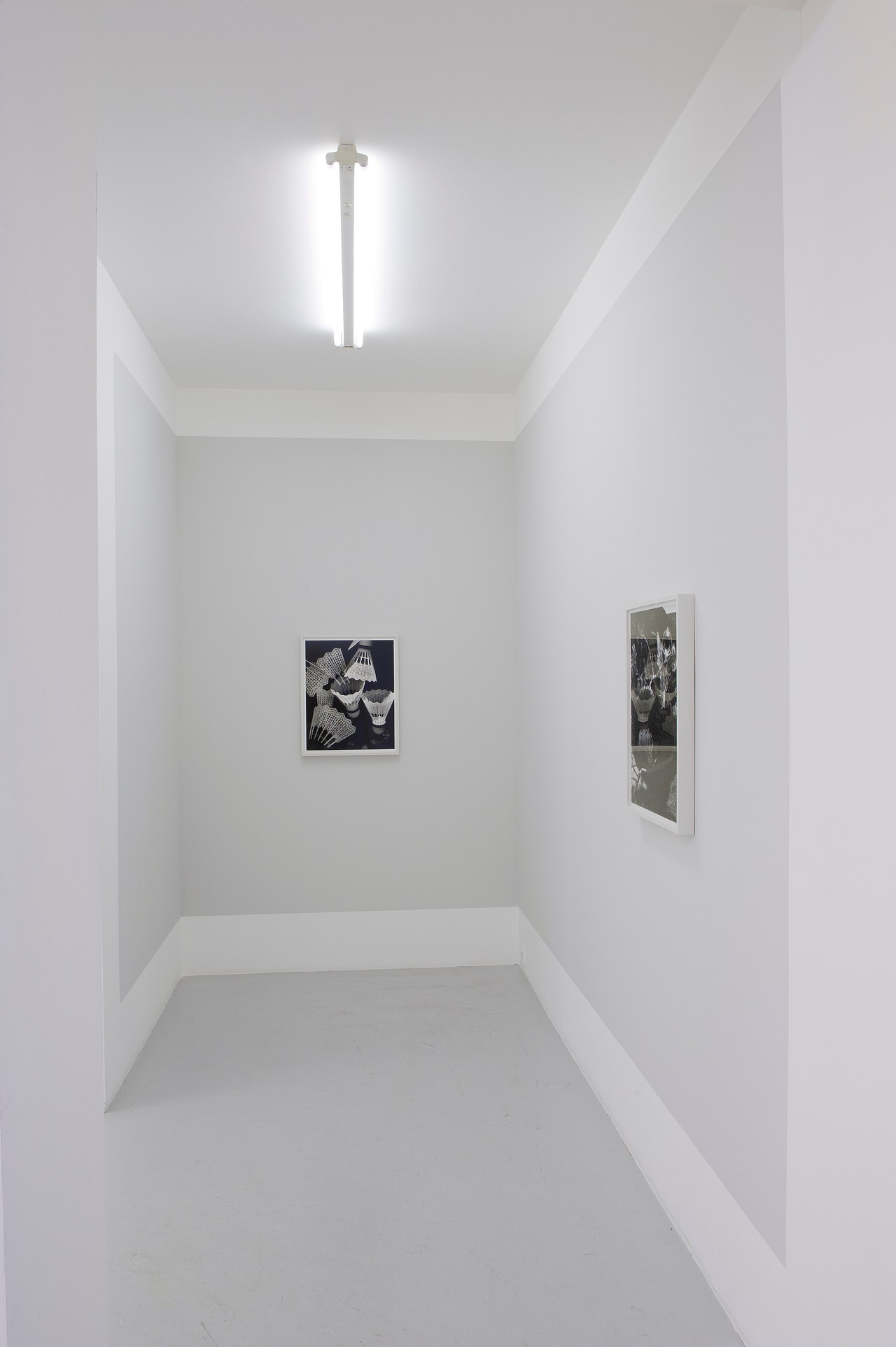 Torbjørn Rødland at Air de Paris | Contemporary Art Library