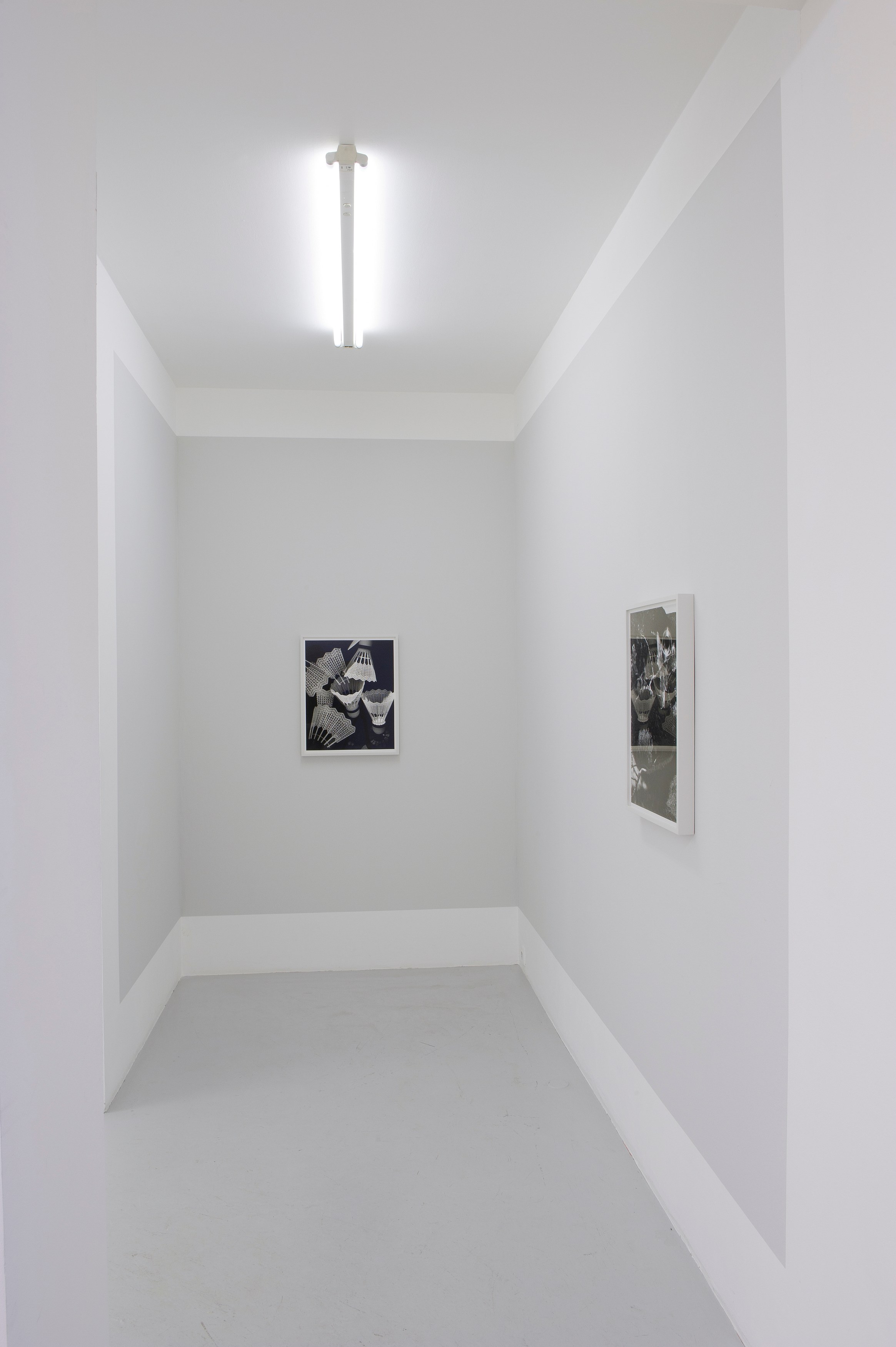 Torbjørn Rødland, Before Behind Above Below at Air de Paris, photo 3