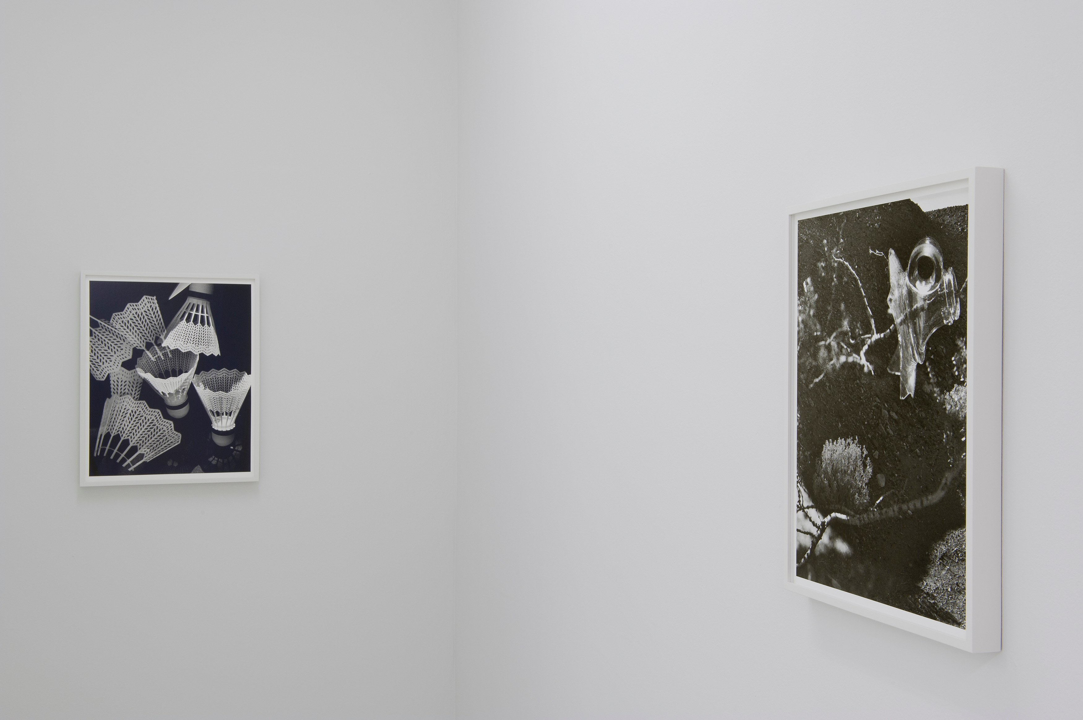 Torbjørn Rødland, Before Behind Above Below at Air de Paris, photo 4