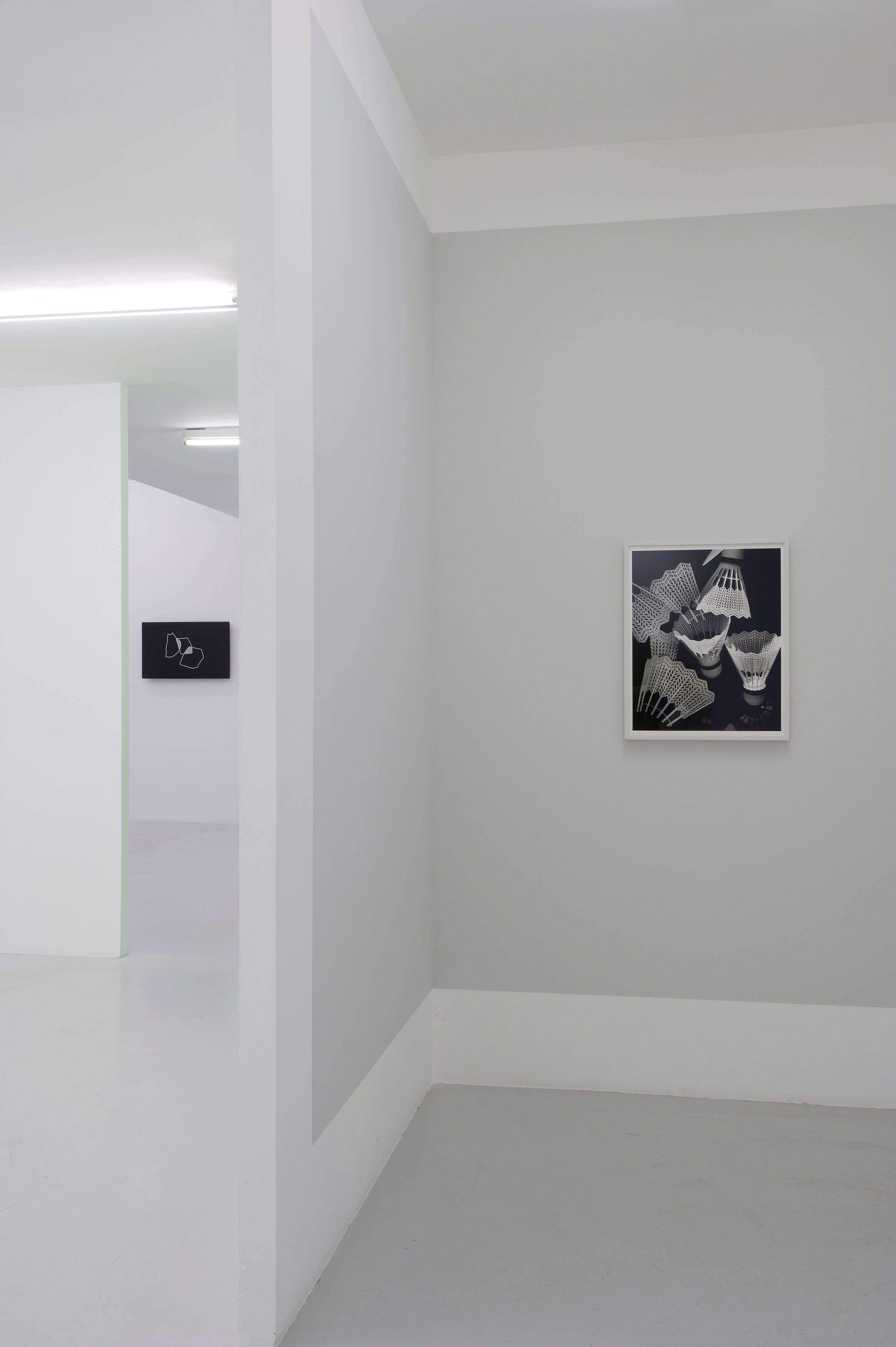 Torbjørn Rødland, Before Behind Above Below at Air de Paris, photo 5