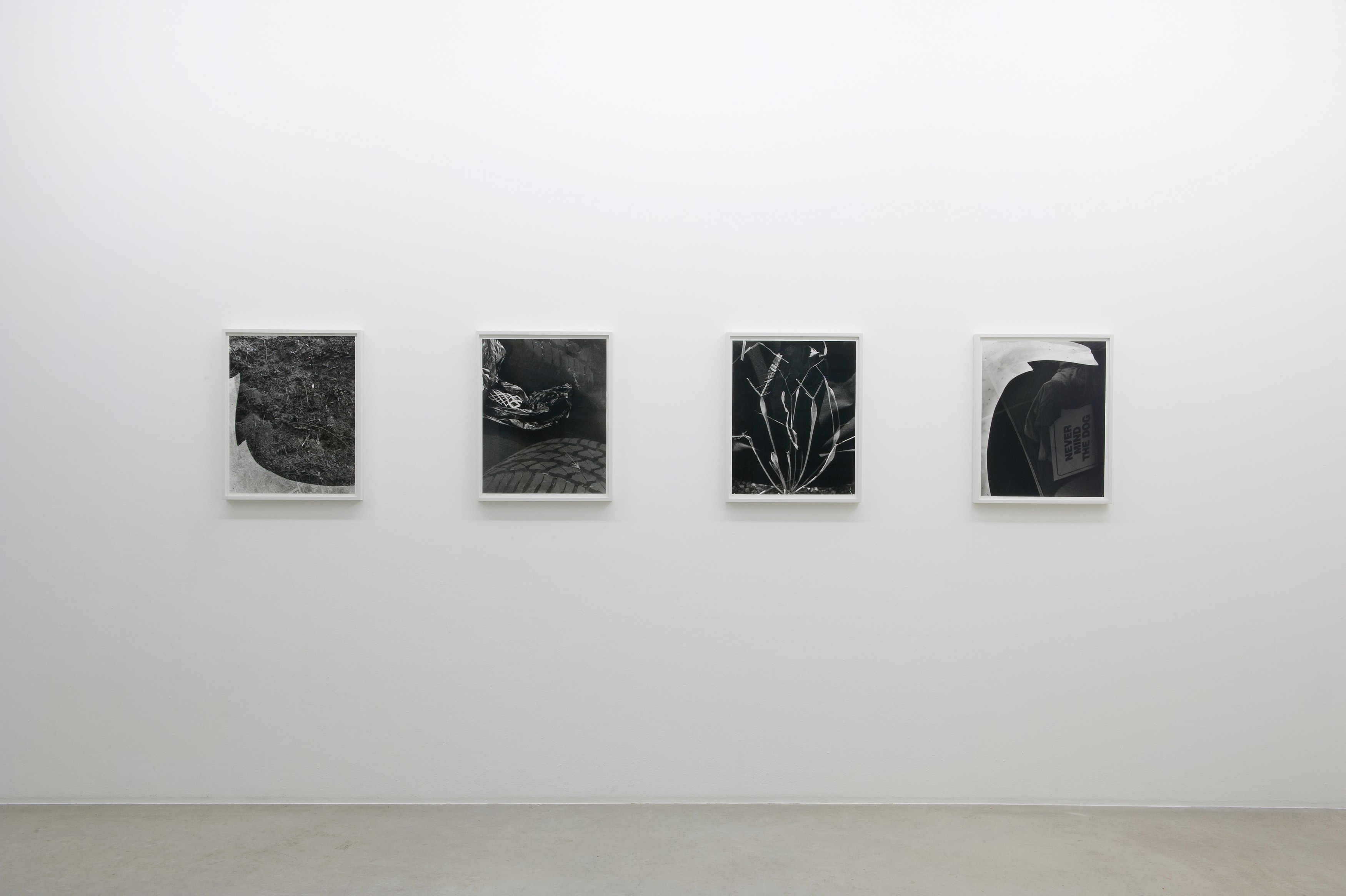 Torbjørn Rødland, Before Behind Above Below at Air de Paris, photo 2