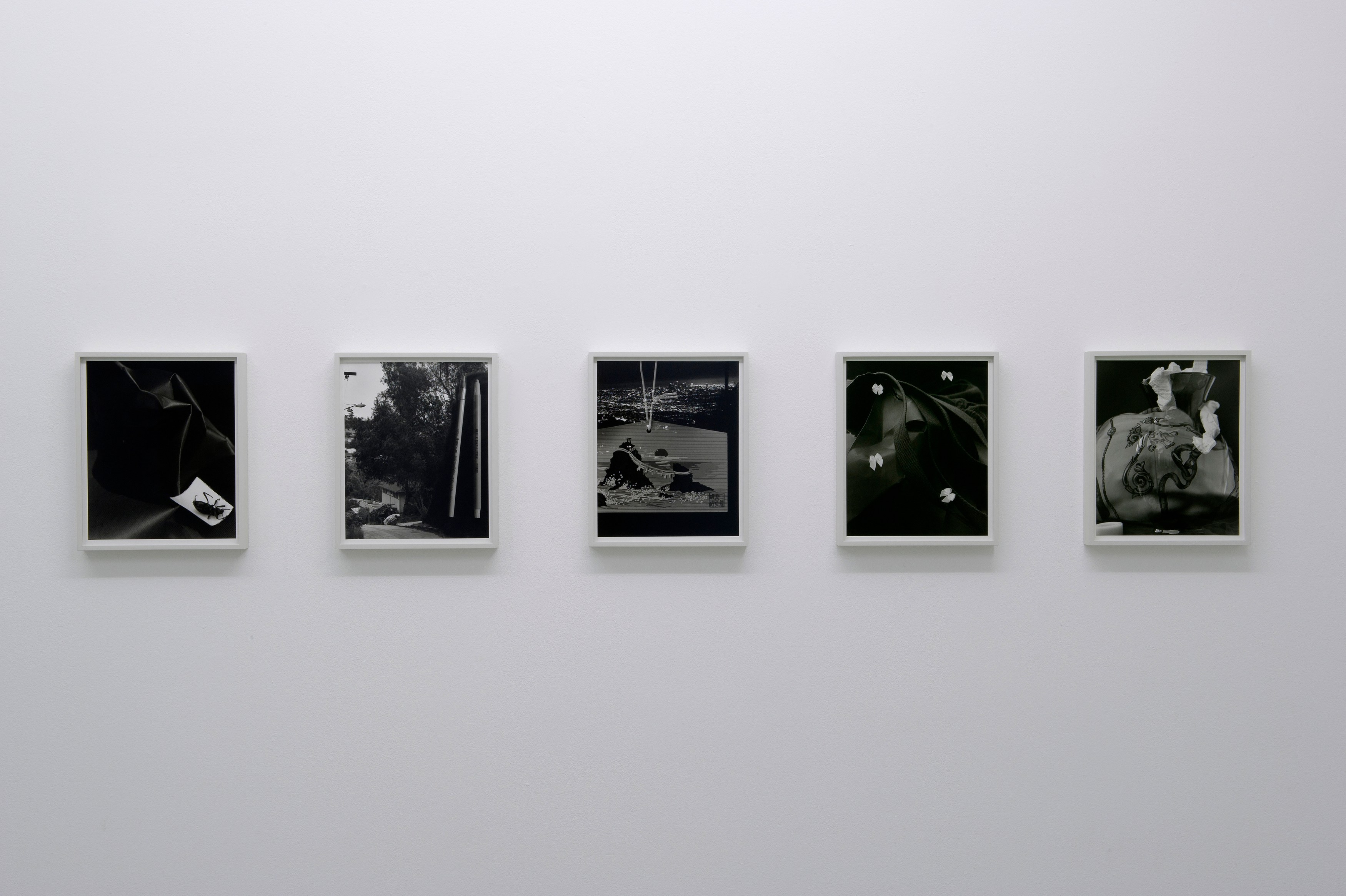 Torbjørn Rødland, Before Behind Above Below at Air de Paris, photo 7