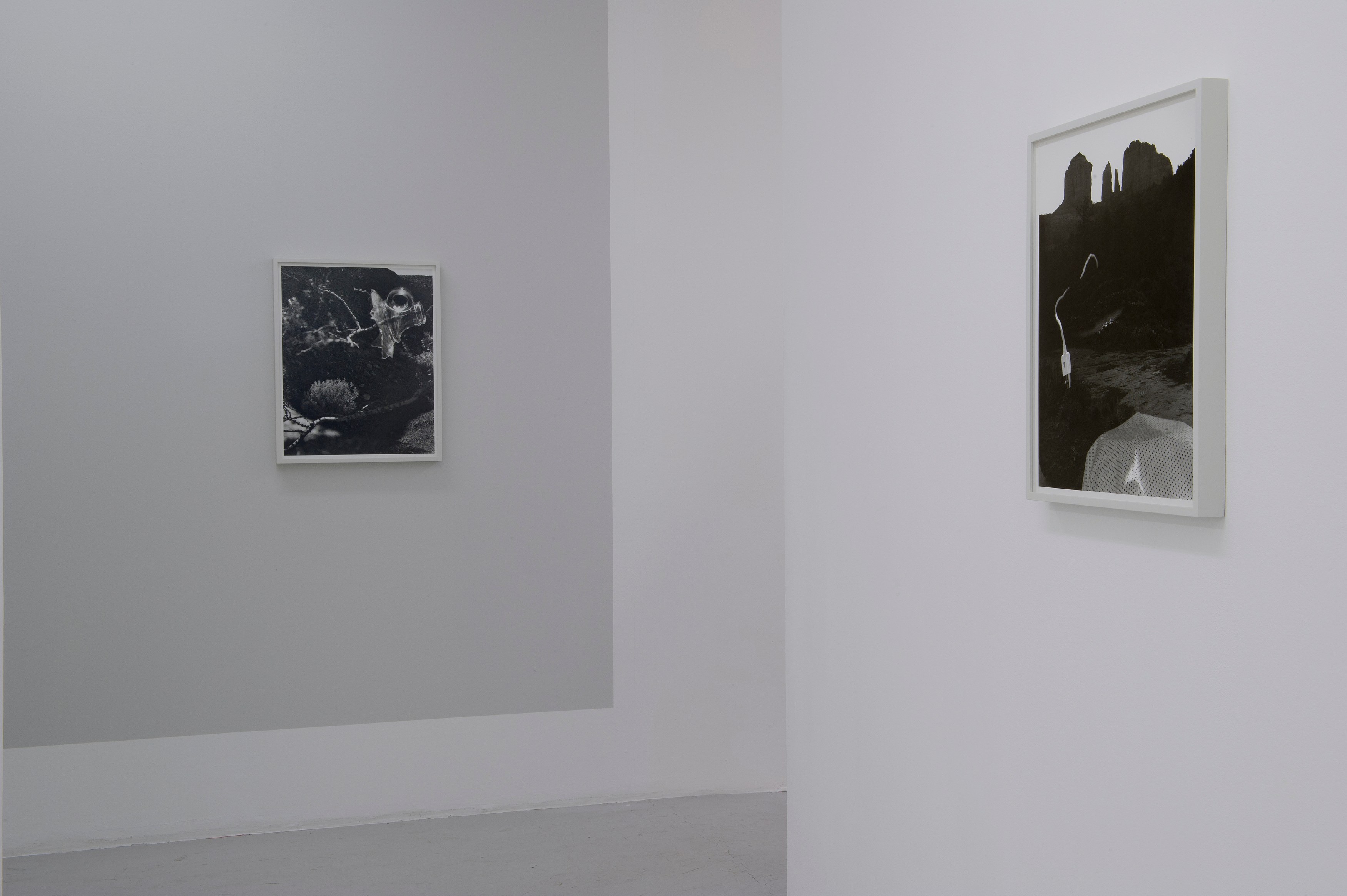 Torbjørn Rødland, Before Behind Above Below at Air de Paris, photo 8