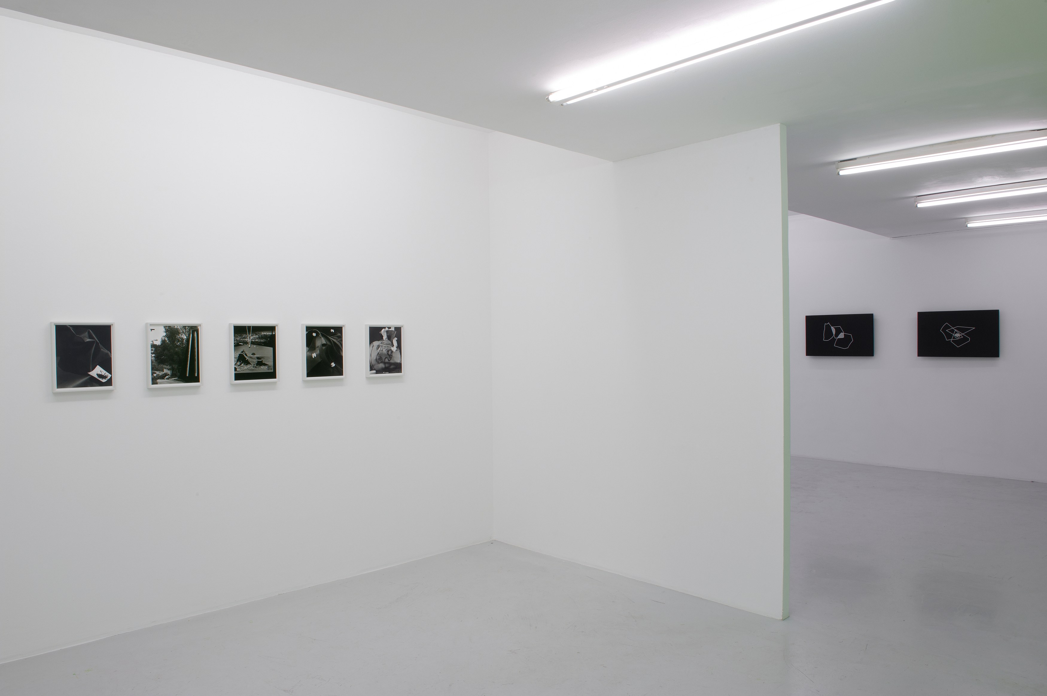 Torbjørn Rødland, Before Behind Above Below at Air de Paris, photo 6