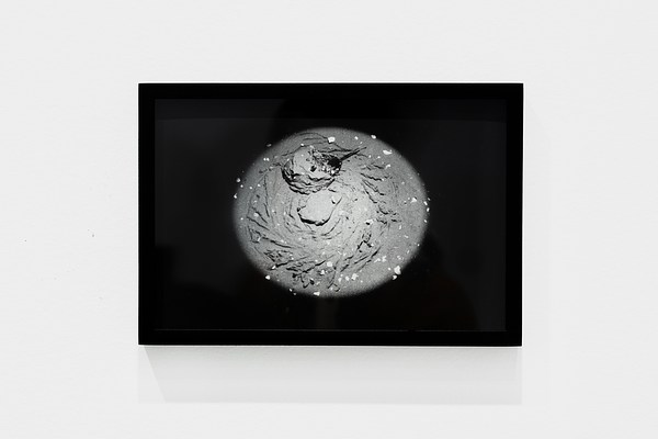 Surrounded by black, a circle of light encases a horseshoe crab on sand in this framed, black and white photograph.