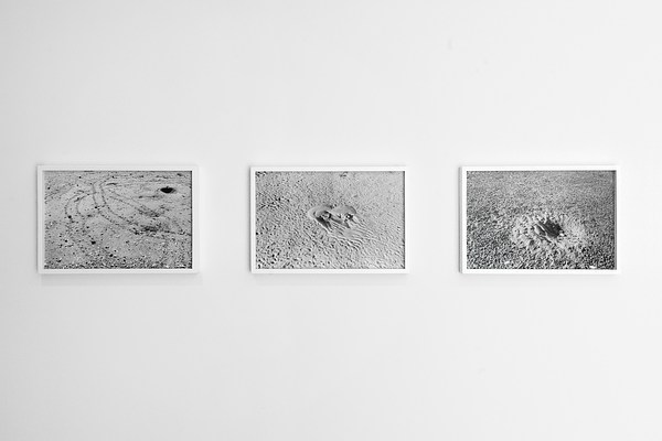 Three framed black and white photographs showing tracks left by horseshoe crabs in sand are mounted on a white wall.