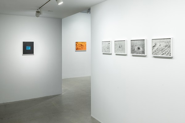 4 black and white photos of horseshoe crab tracks imprinted in sand and 2 color photos lead viewers into the exhibition.