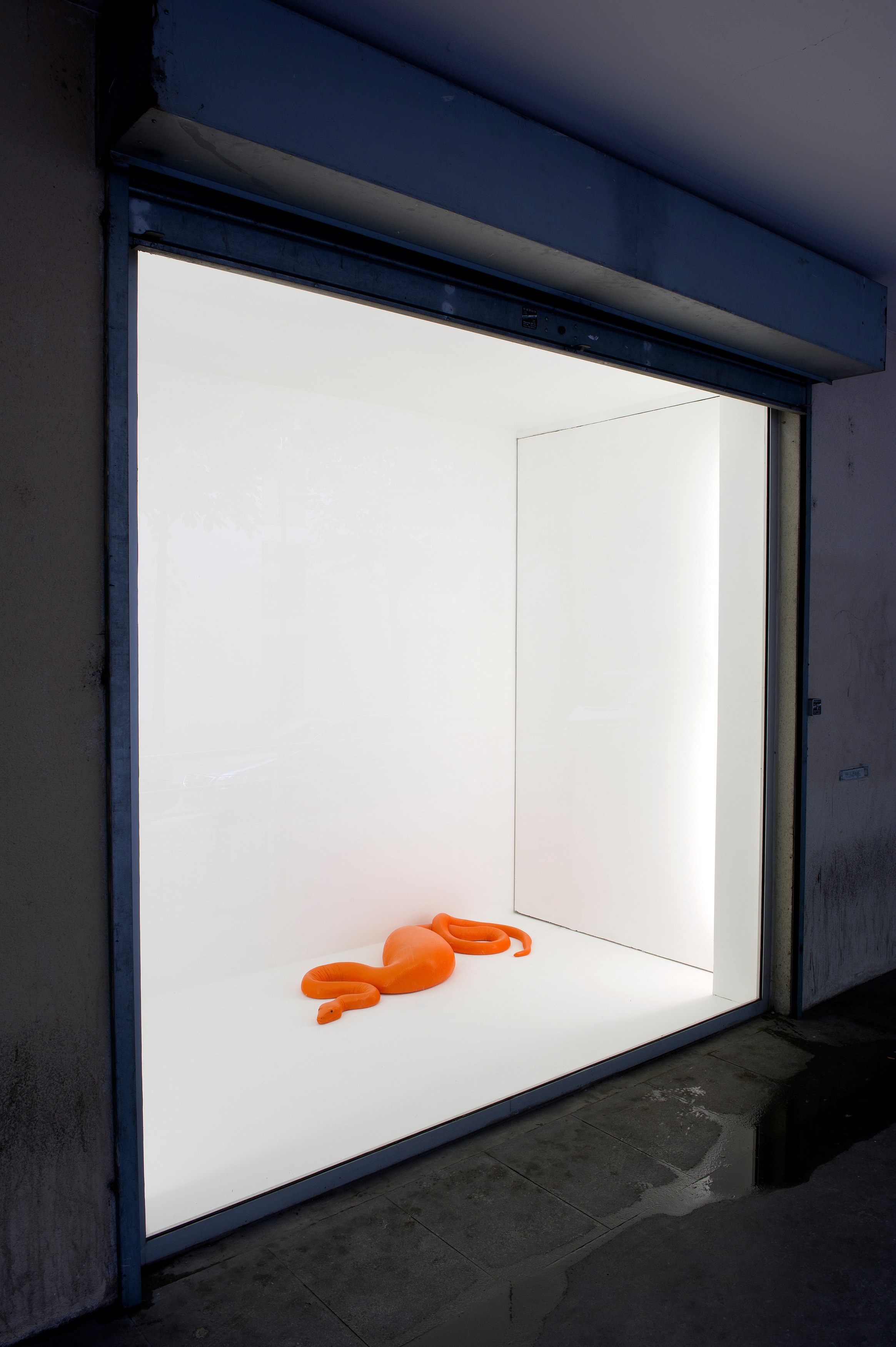 Carsten Höller, AVEC at Air de Paris, photo 22