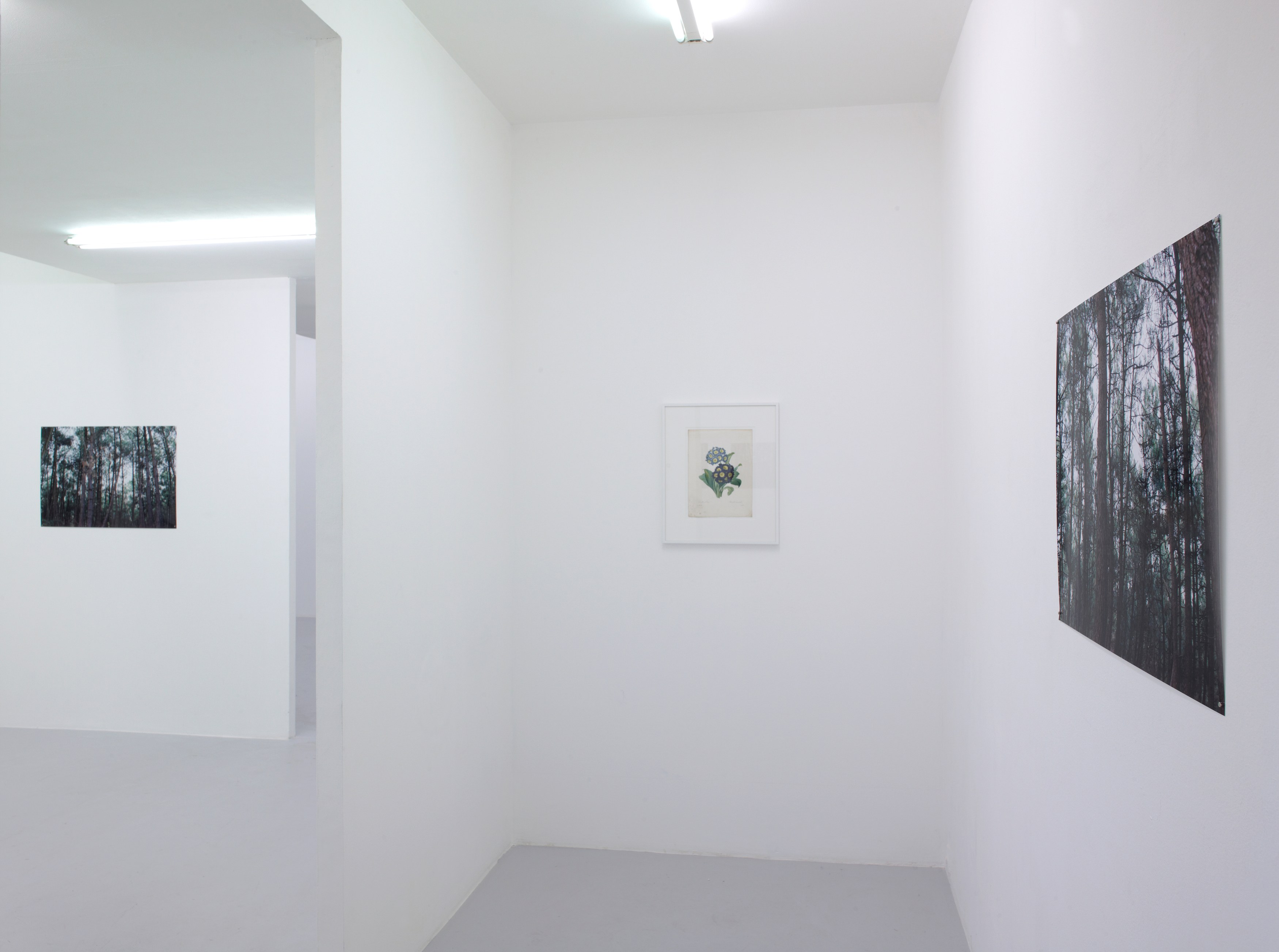 Pierre Joseph, Maintenant at Air de Paris, photo 2
