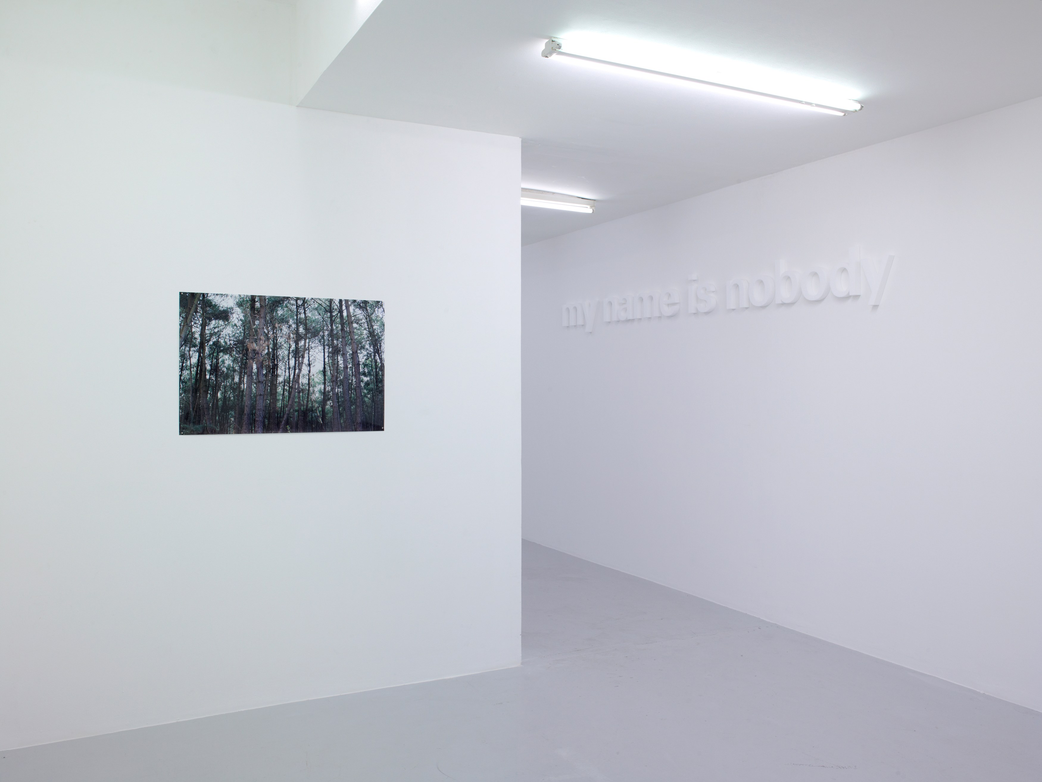 Pierre Joseph, Maintenant at Air de Paris, photo 3