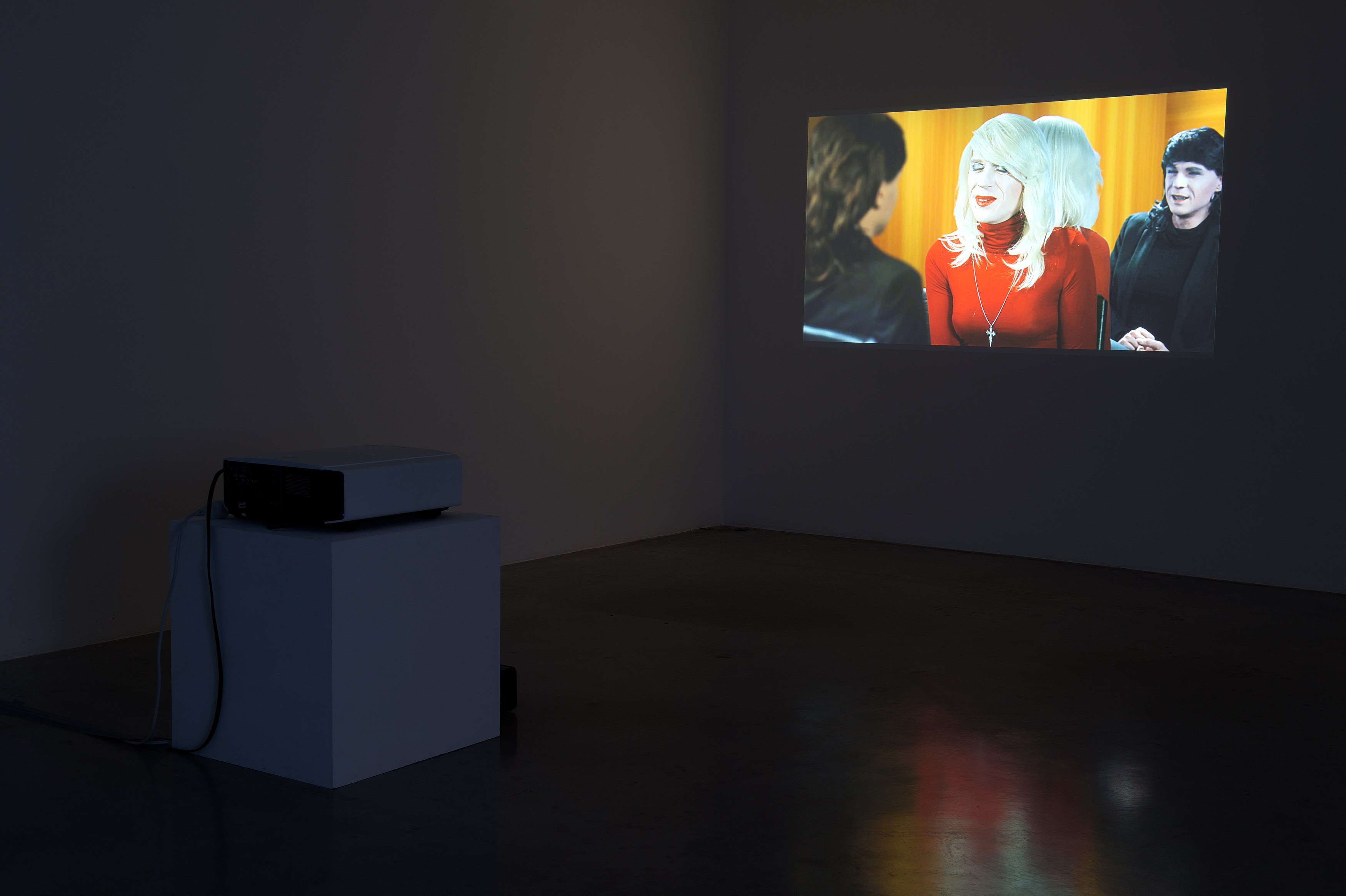 Brice Dellsperger, Réflexions at Air de Paris, photo 2