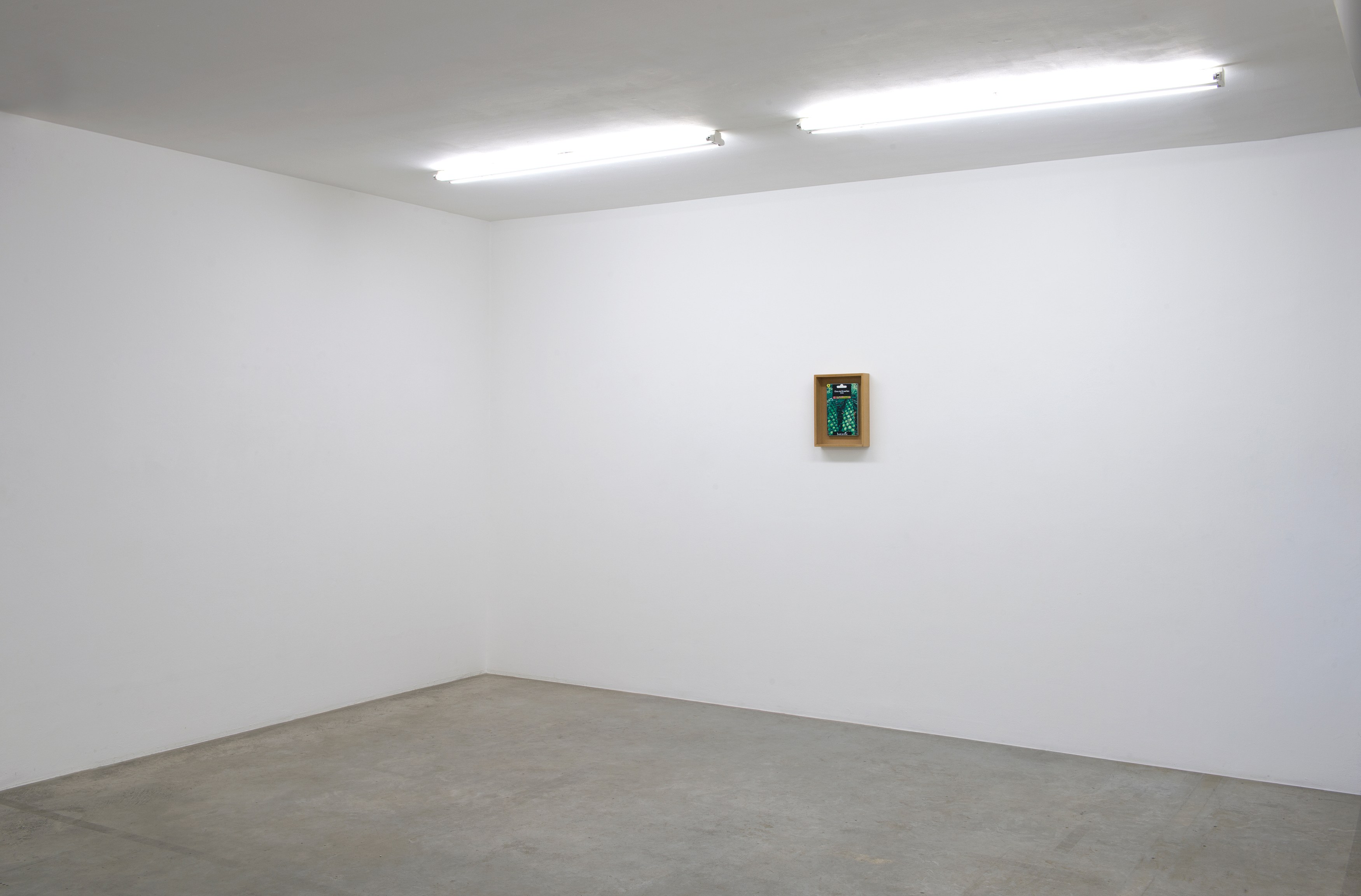 Jef Geys, Untitled at Air de Paris, photo 3