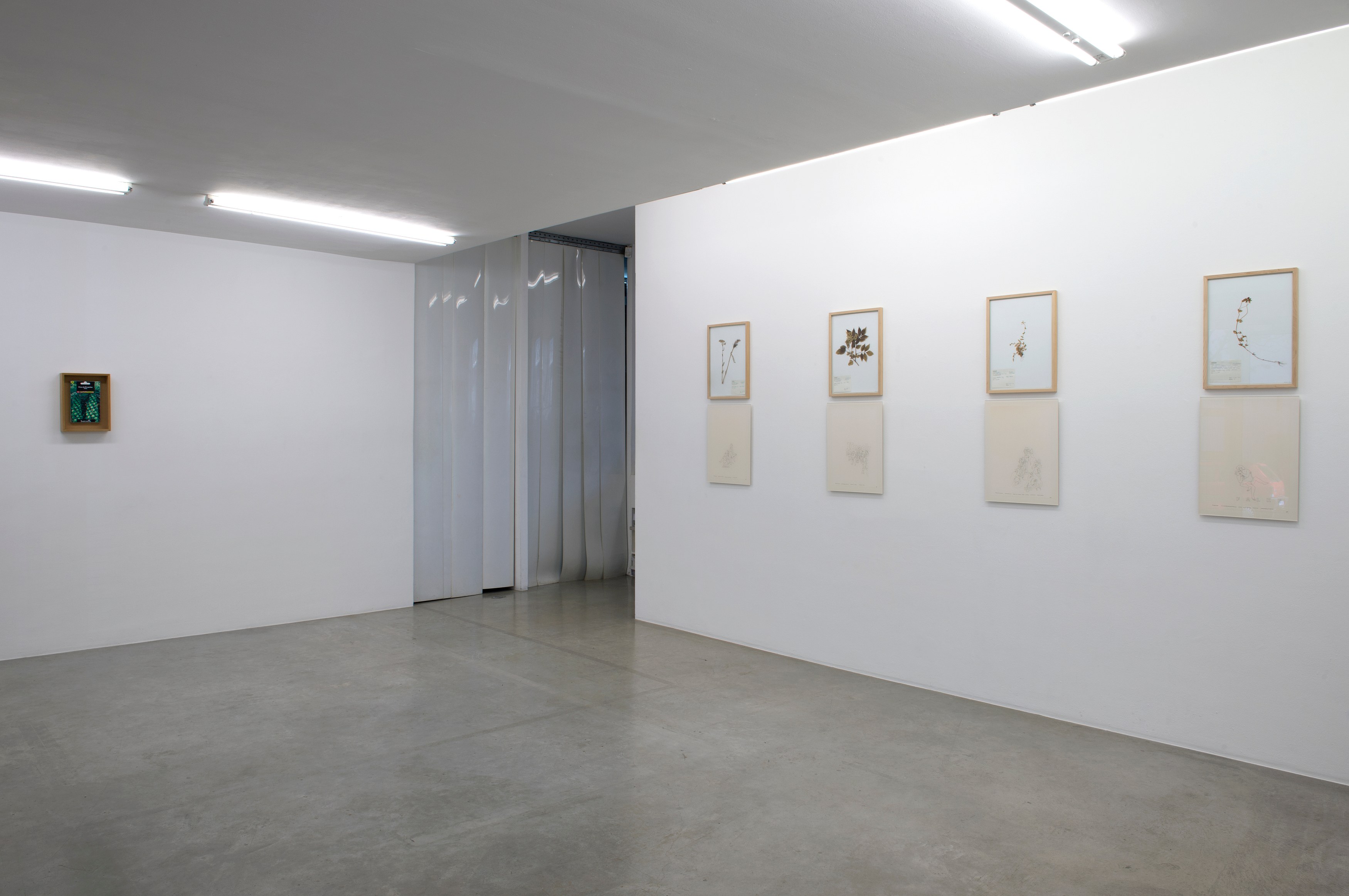 Jef Geys, Untitled at Air de Paris, photo 2