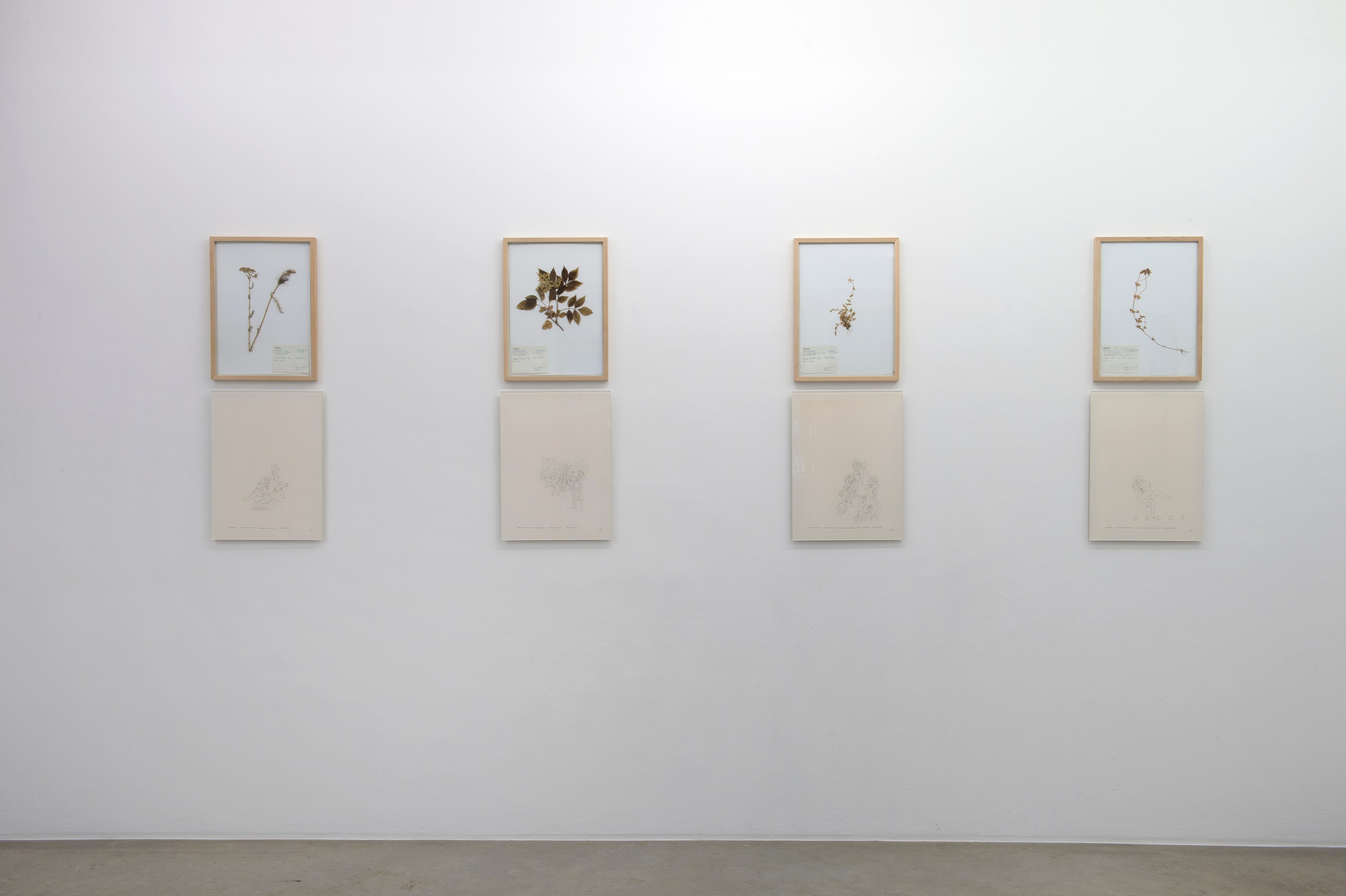 Jef Geys, Untitled at Air de Paris, photo 4