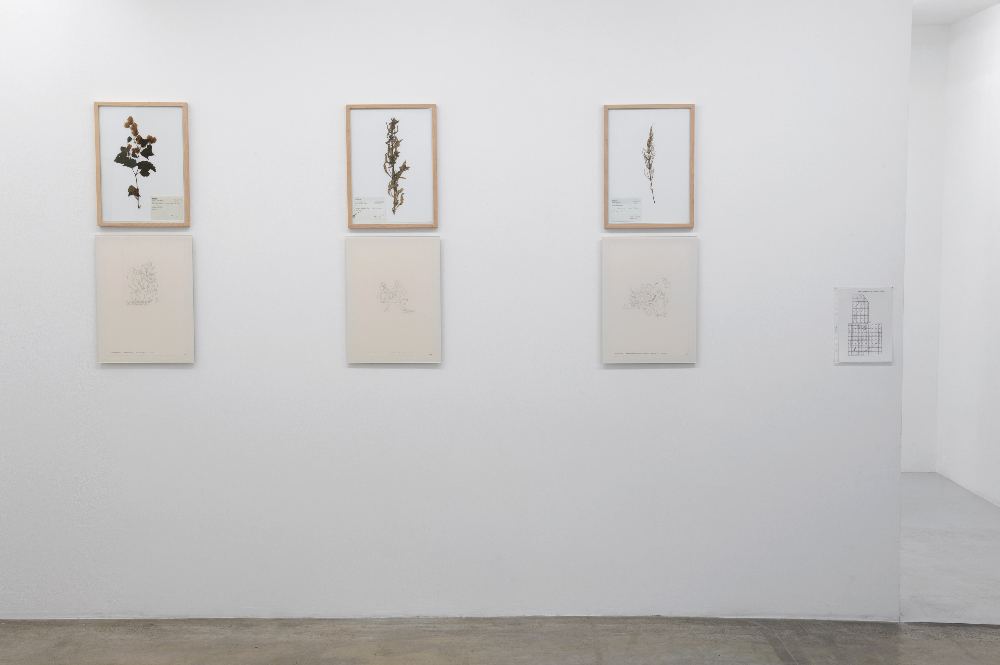 Jef Geys, Untitled at Air de Paris, photo 5