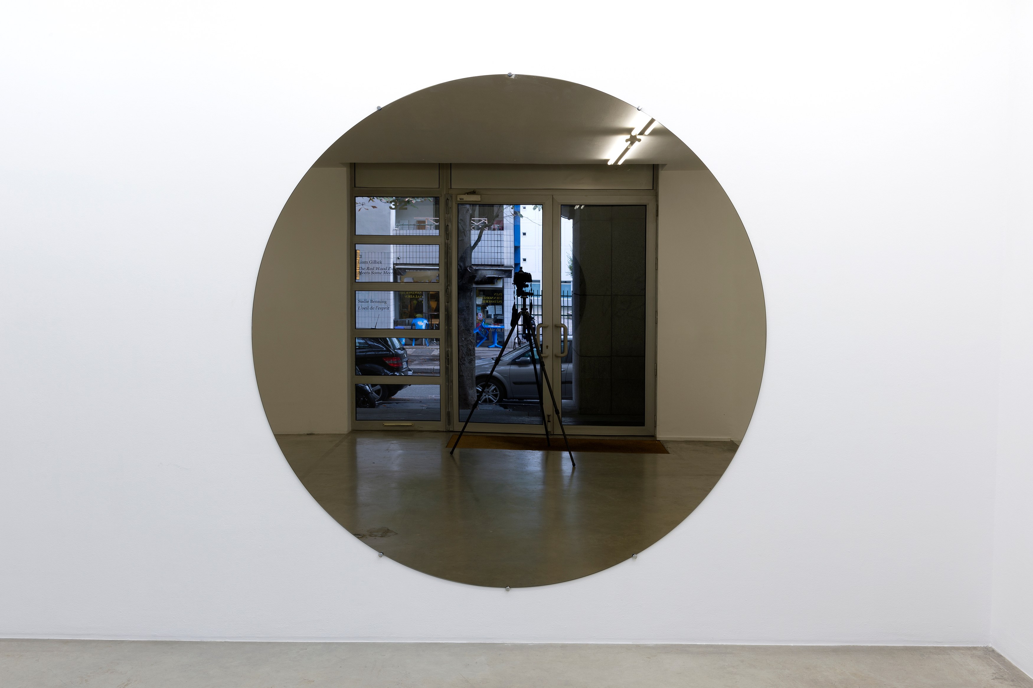 Liam Gillick, The Red Wood Pigeon Meets Some Meetings at Air de Paris, photo 3