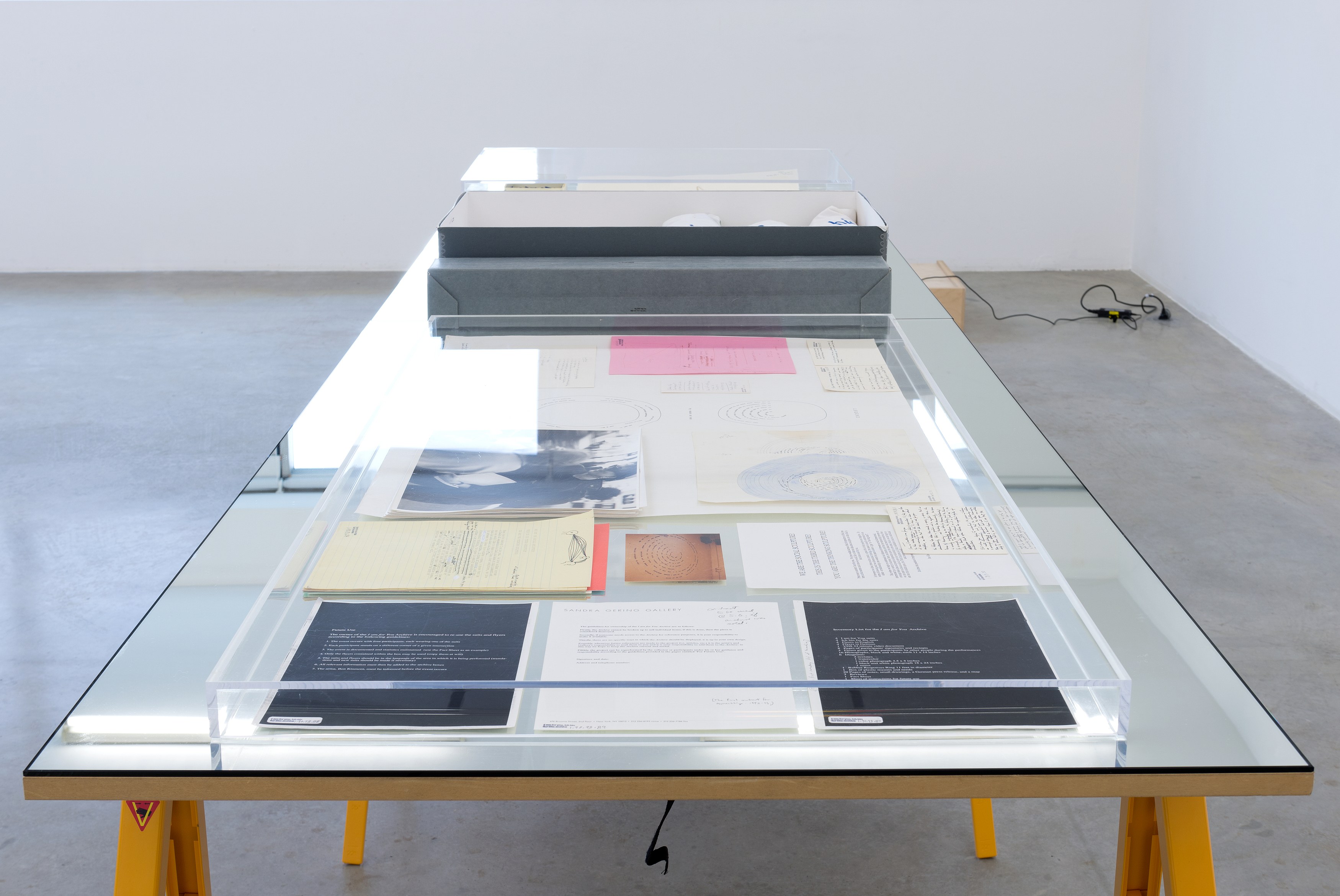 Ben Kinmont, I am for you at Air de Paris, photo 6