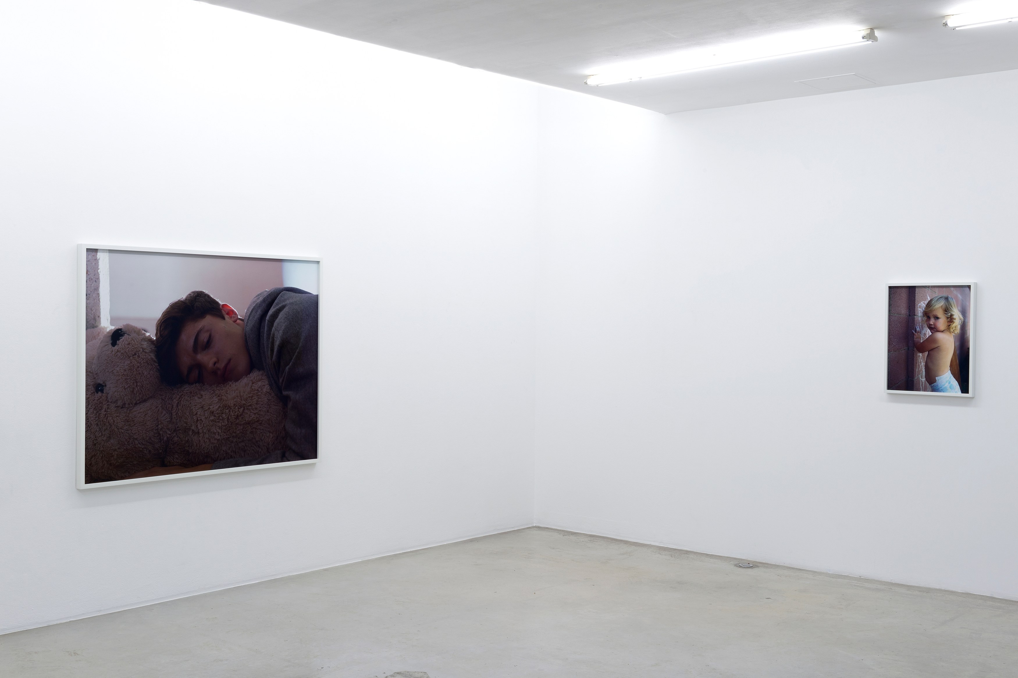 Torbjørn Rødland, Birthday Sleep at Air de Paris, photo 8