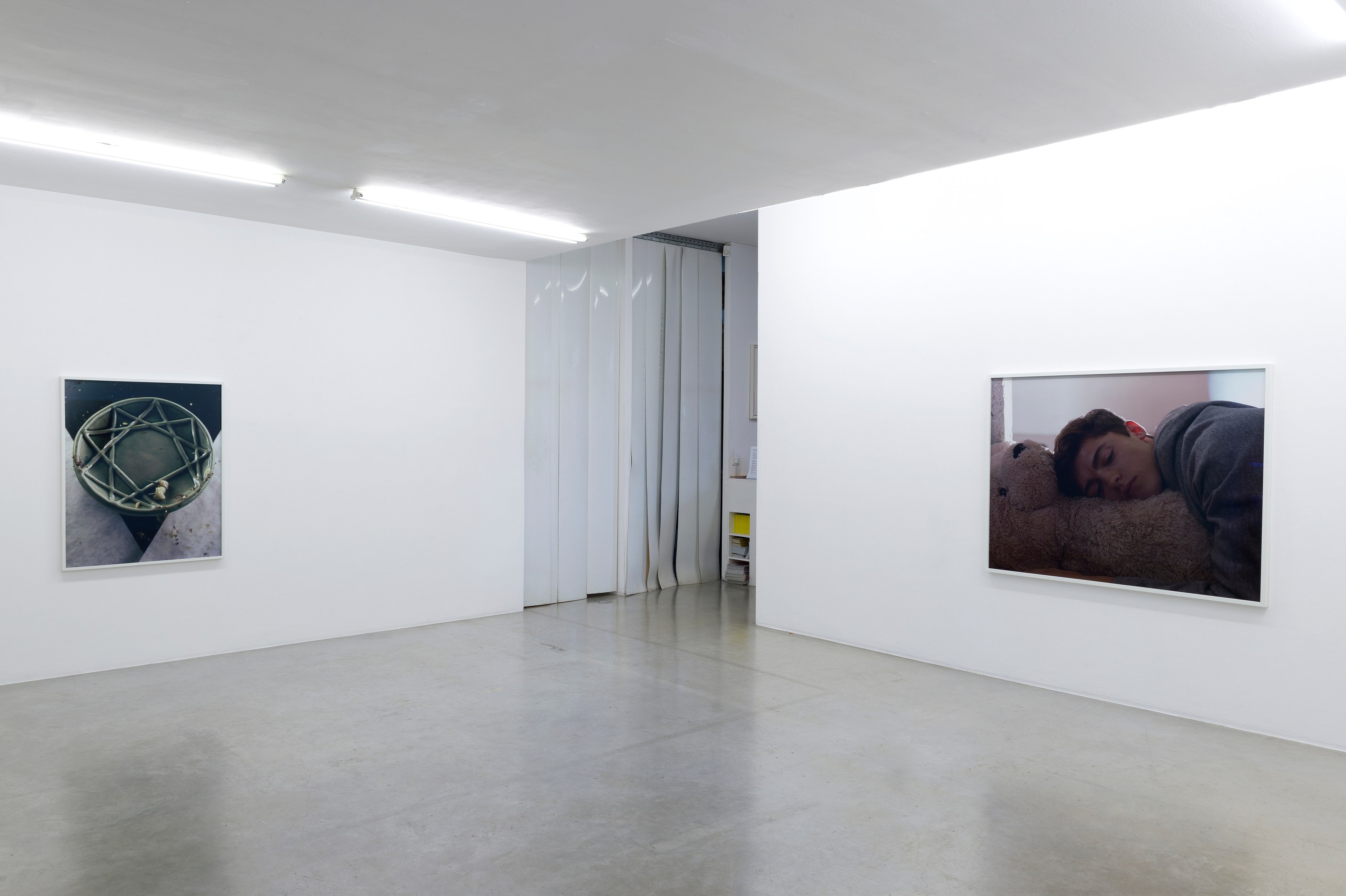 Torbjørn Rødland, Birthday Sleep at Air de Paris, photo 9