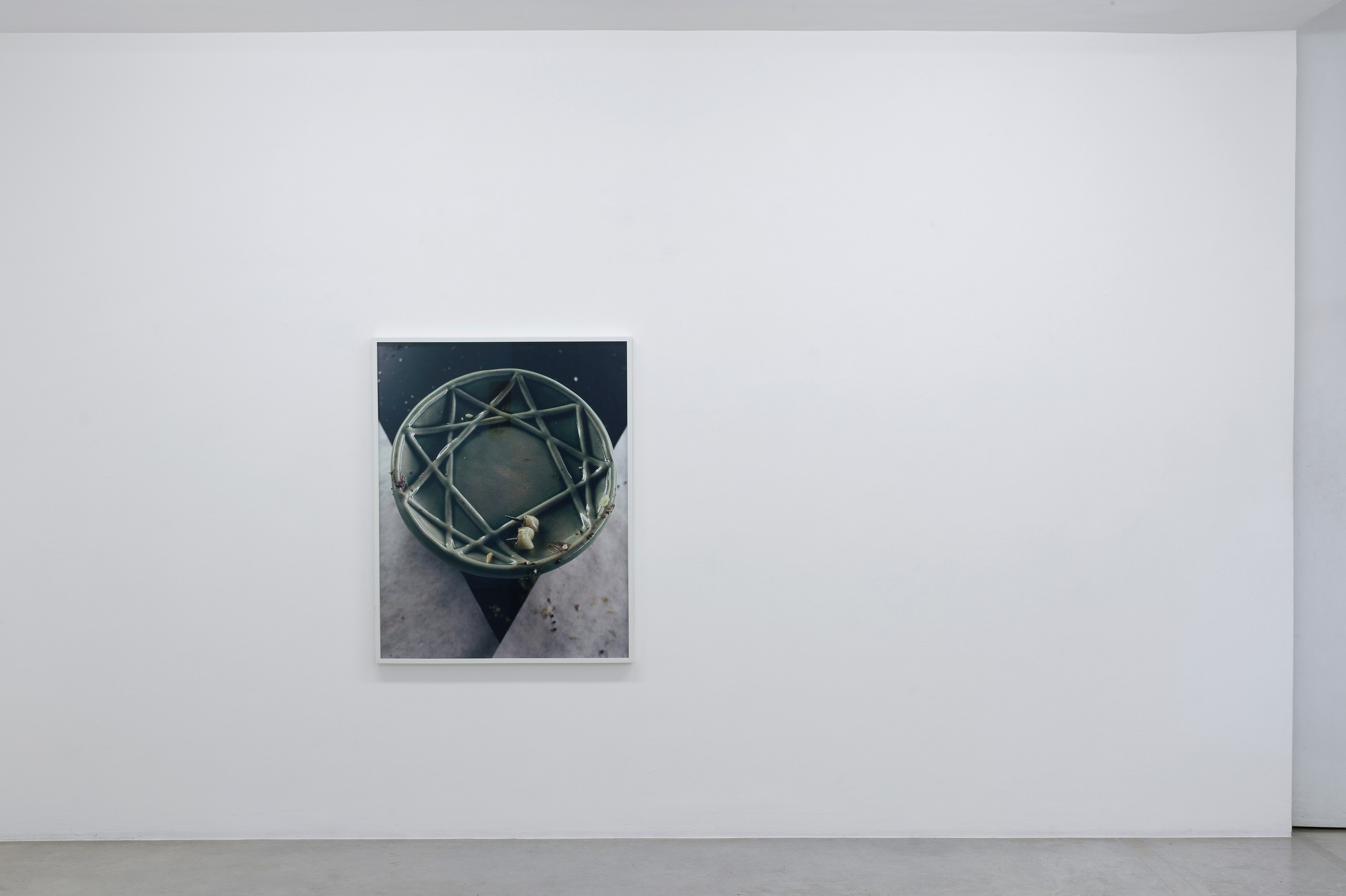 Torbjørn Rødland, Birthday Sleep at Air de Paris, photo 10