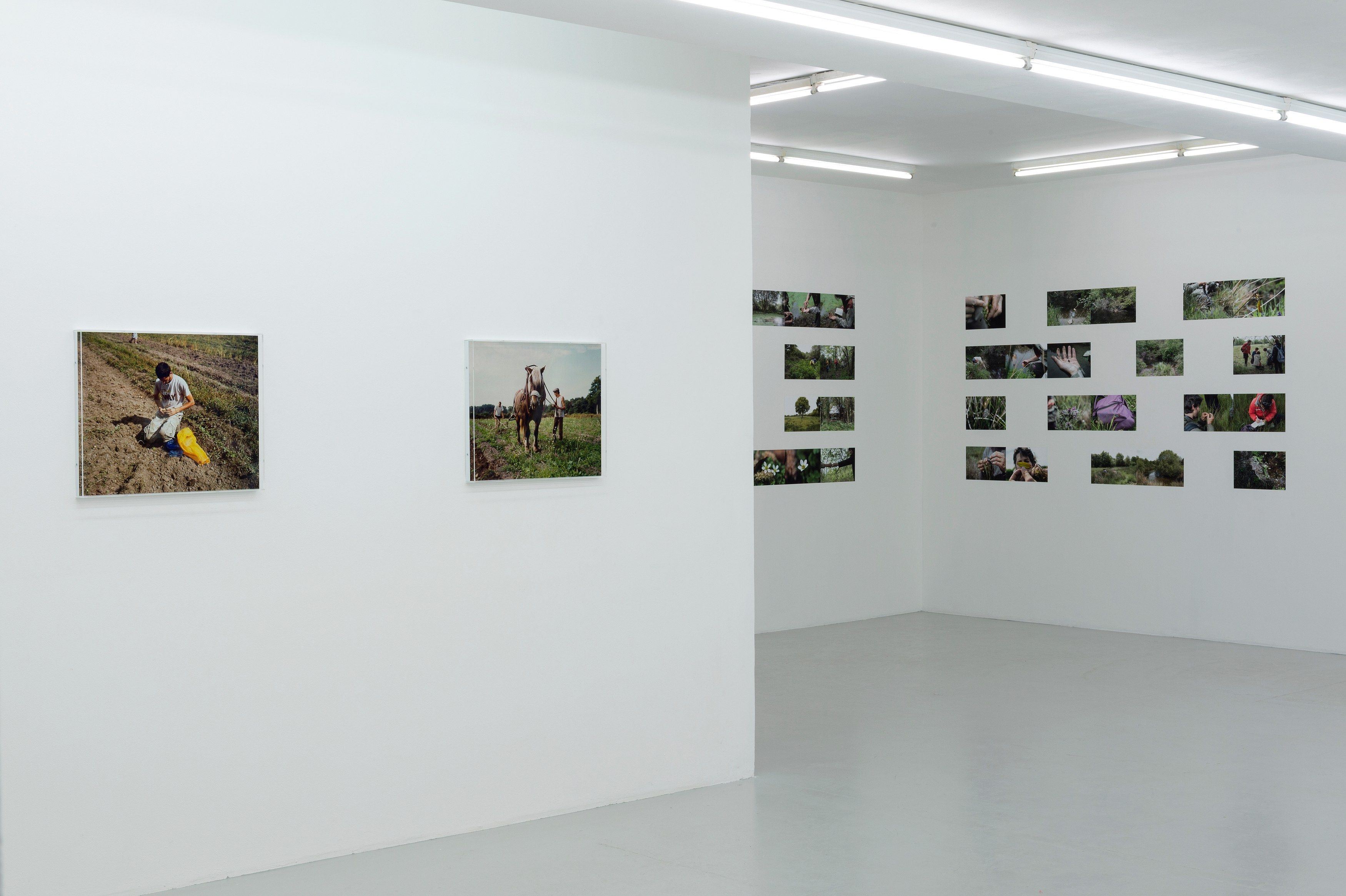 Bruno Serralongue, Chemins cherchés, chemins perdus, transgressions at Air de Paris, photo 13